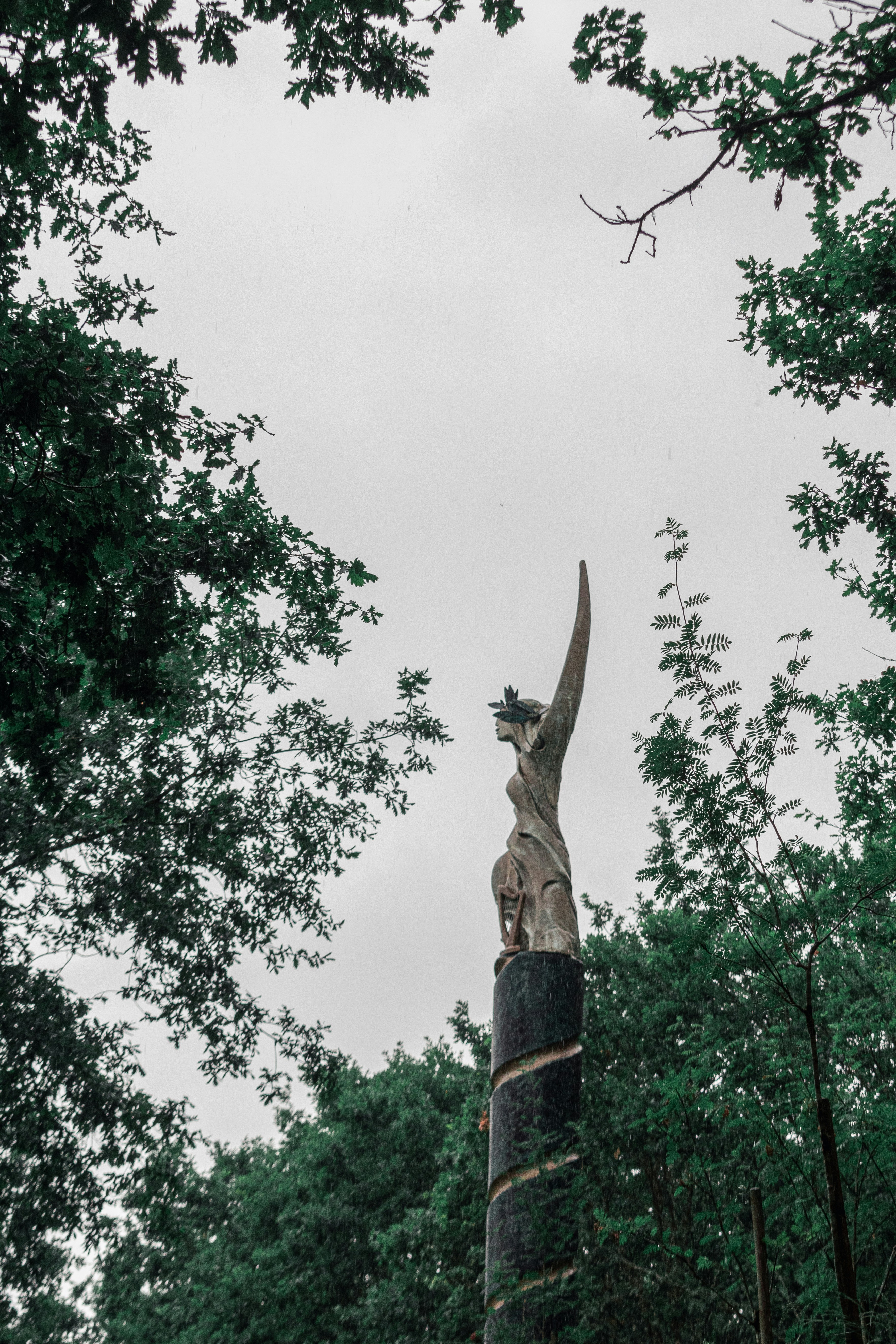 Photo by vadym_alyekseyenko