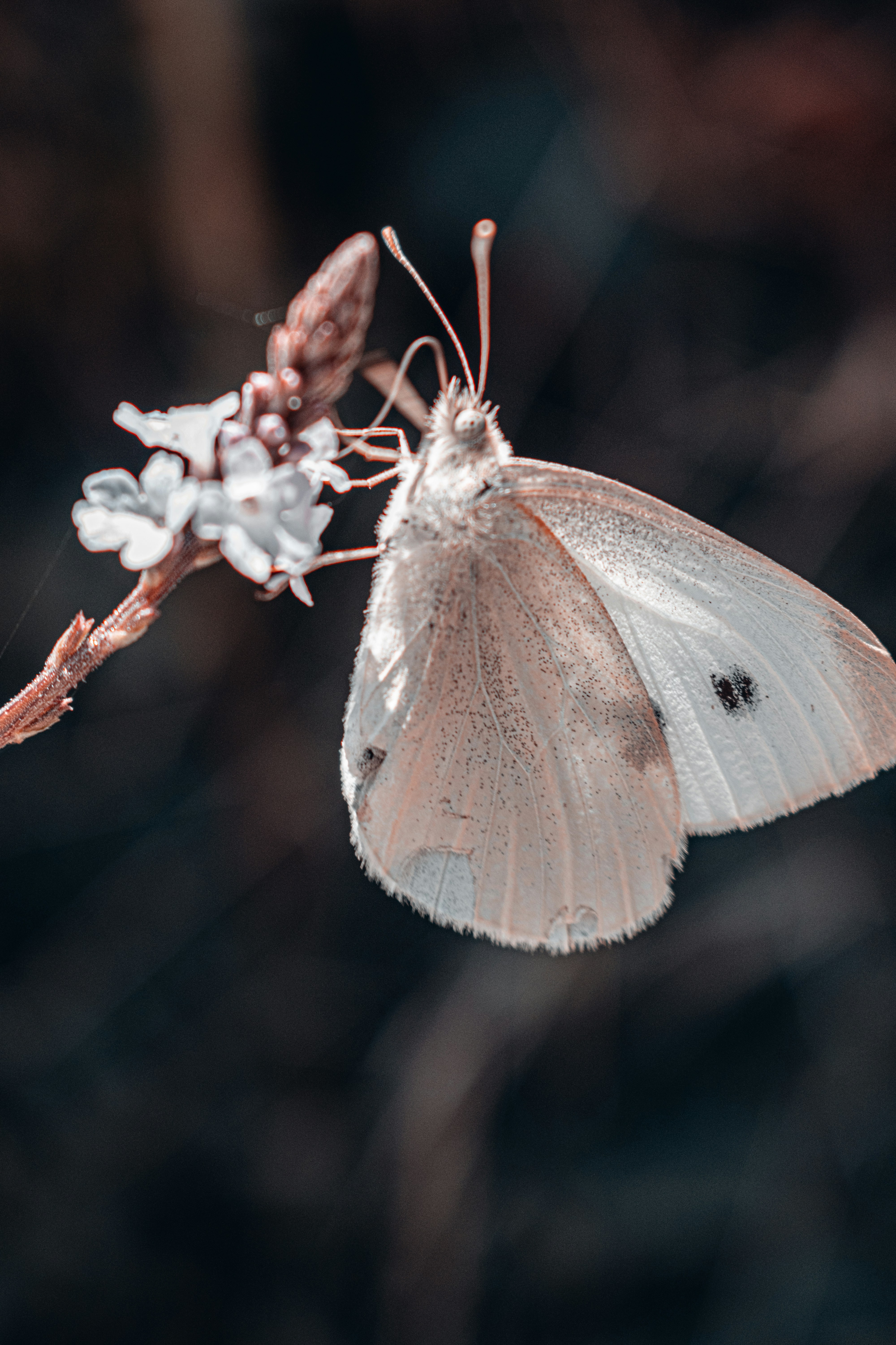 Photo by vadym_alyekseyenko