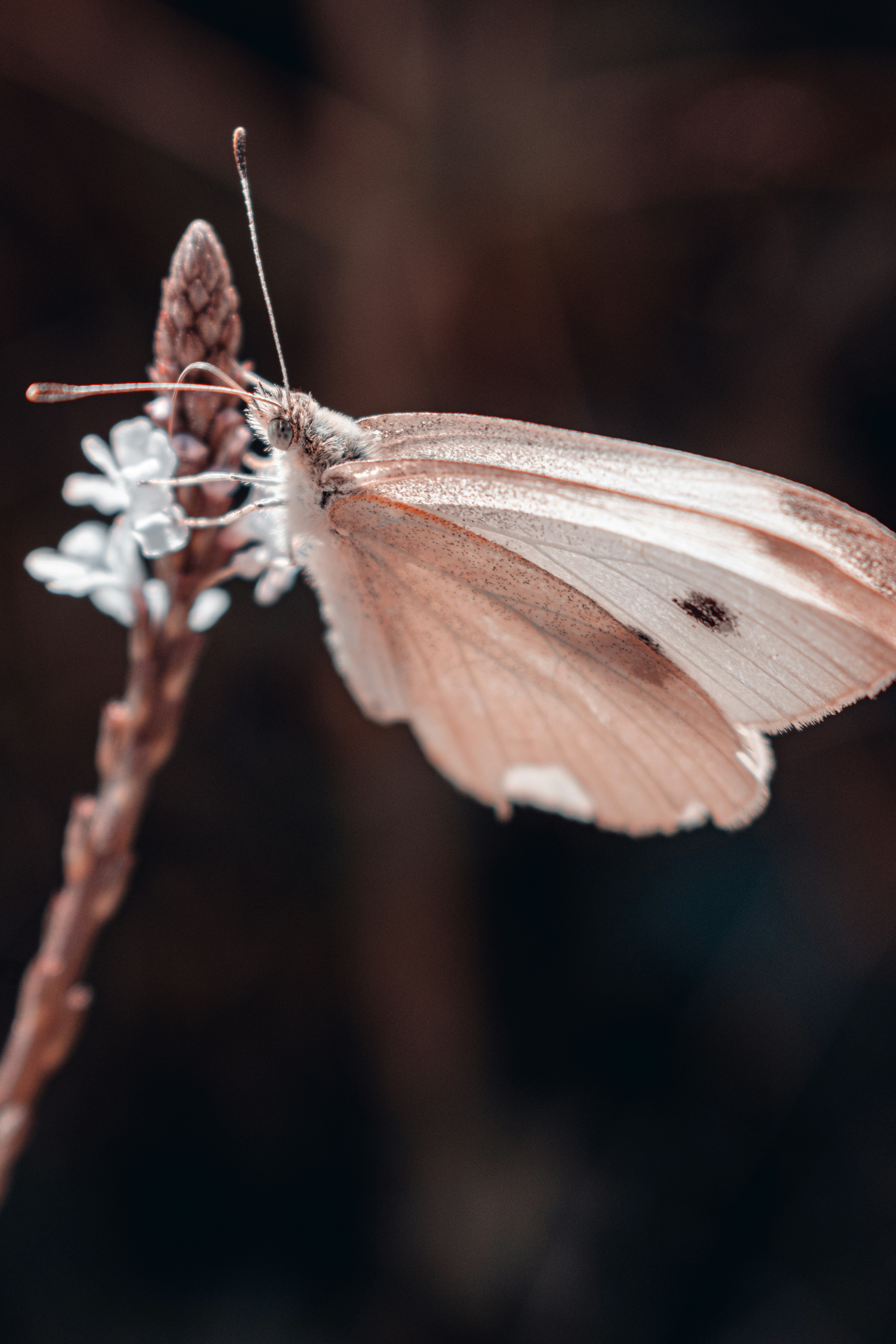 Photo by vadym_alyekseyenko