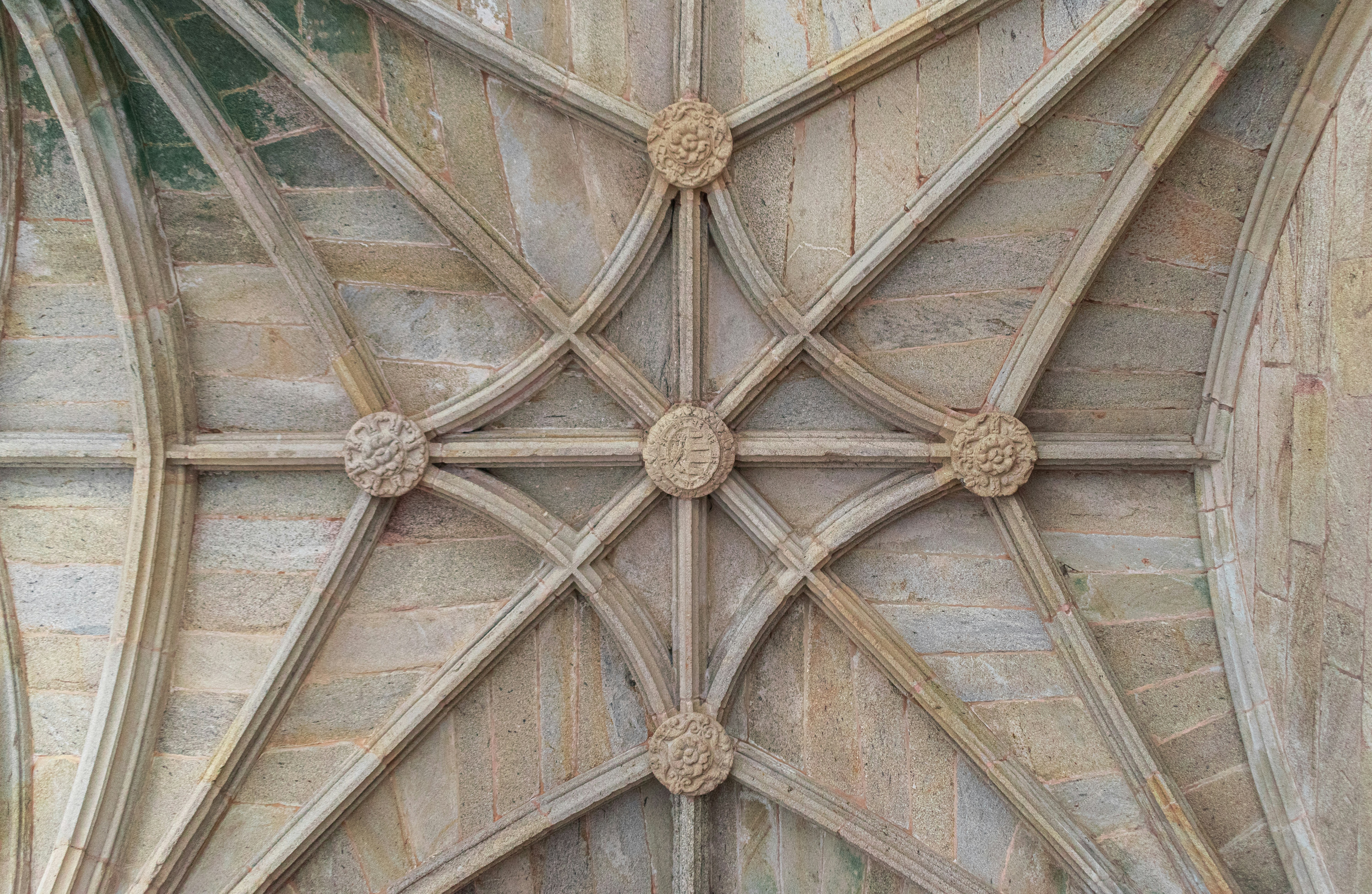 Photo by vadym_alyekseyenko