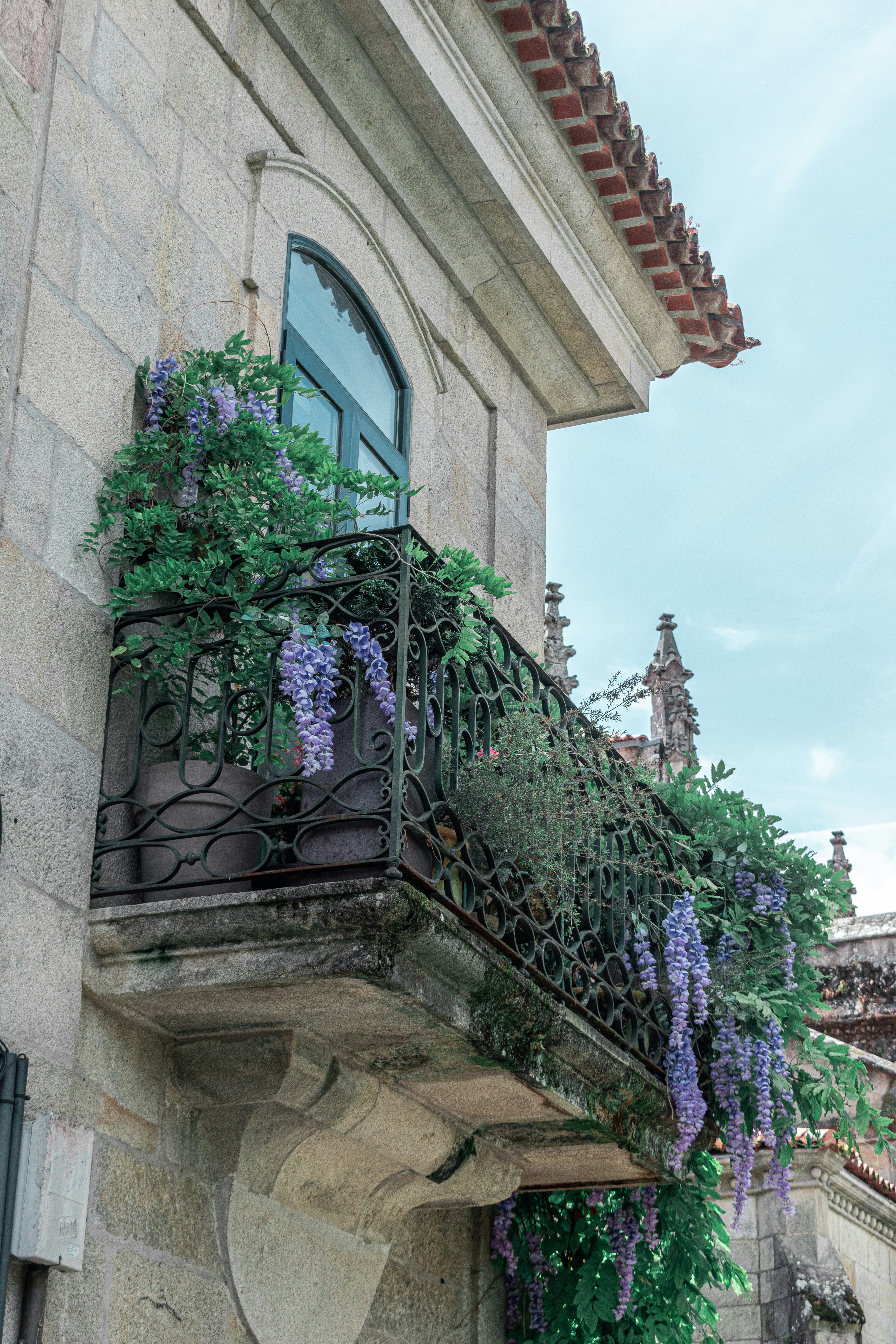 A balcony with purple flowers growing on it