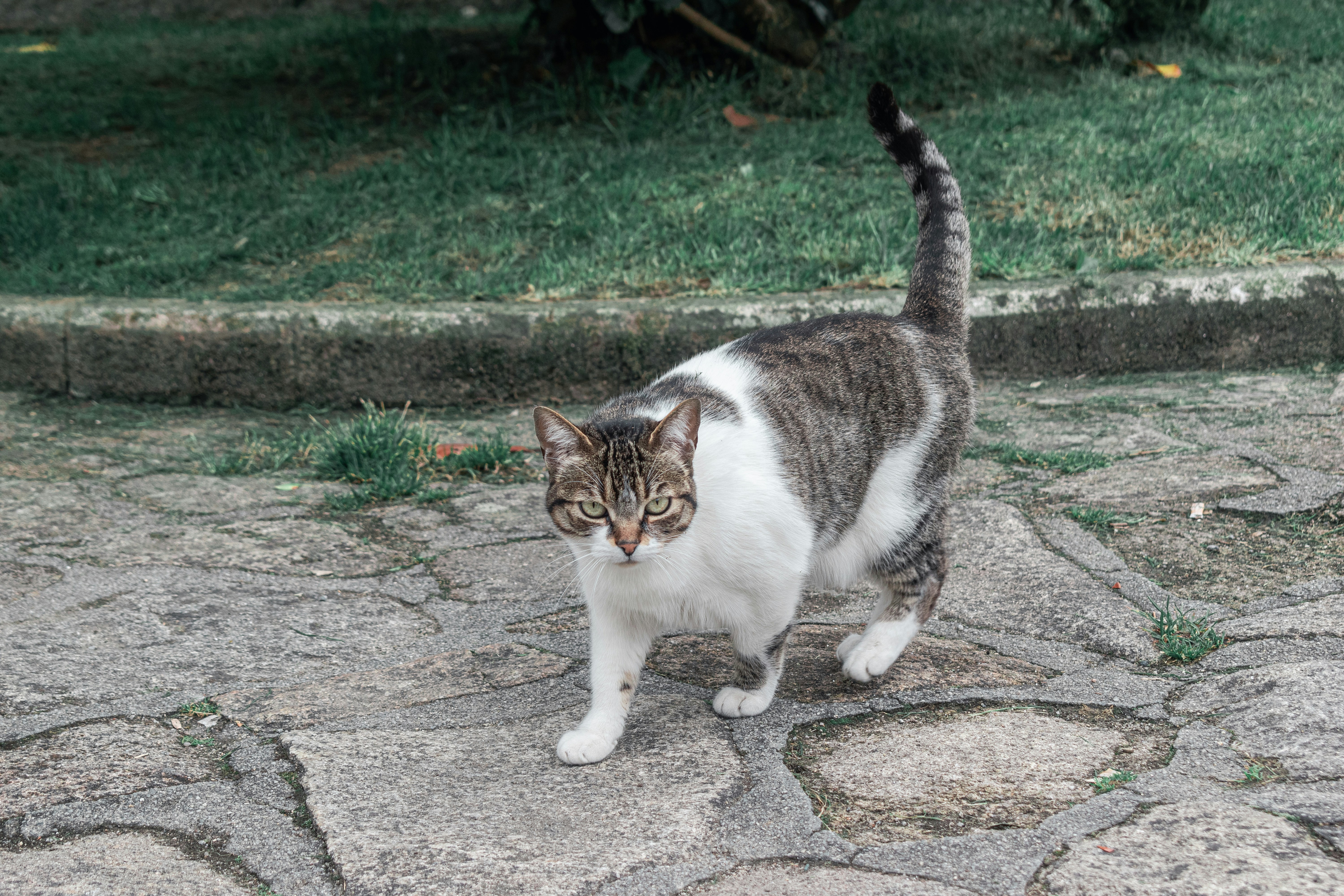 Photo by vadym_alyekseyenko