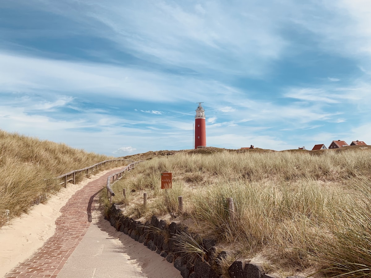 Texel buiten het seizoen: uitwaaien, zeehonden en stilte in de duinen
