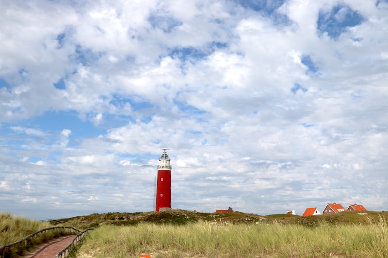 Urlaub mit Hund auf Borkum