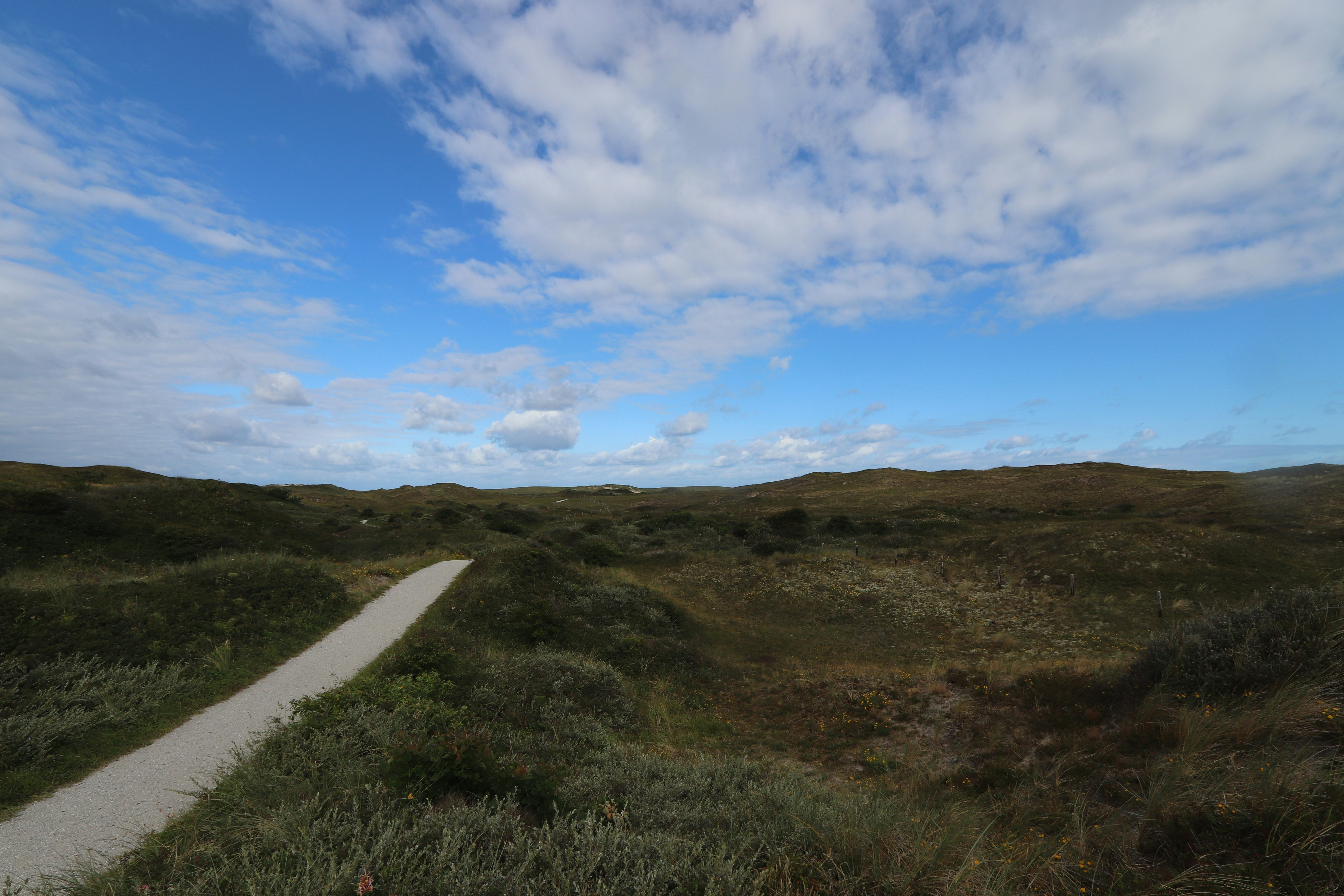 Photo by justmejuliee