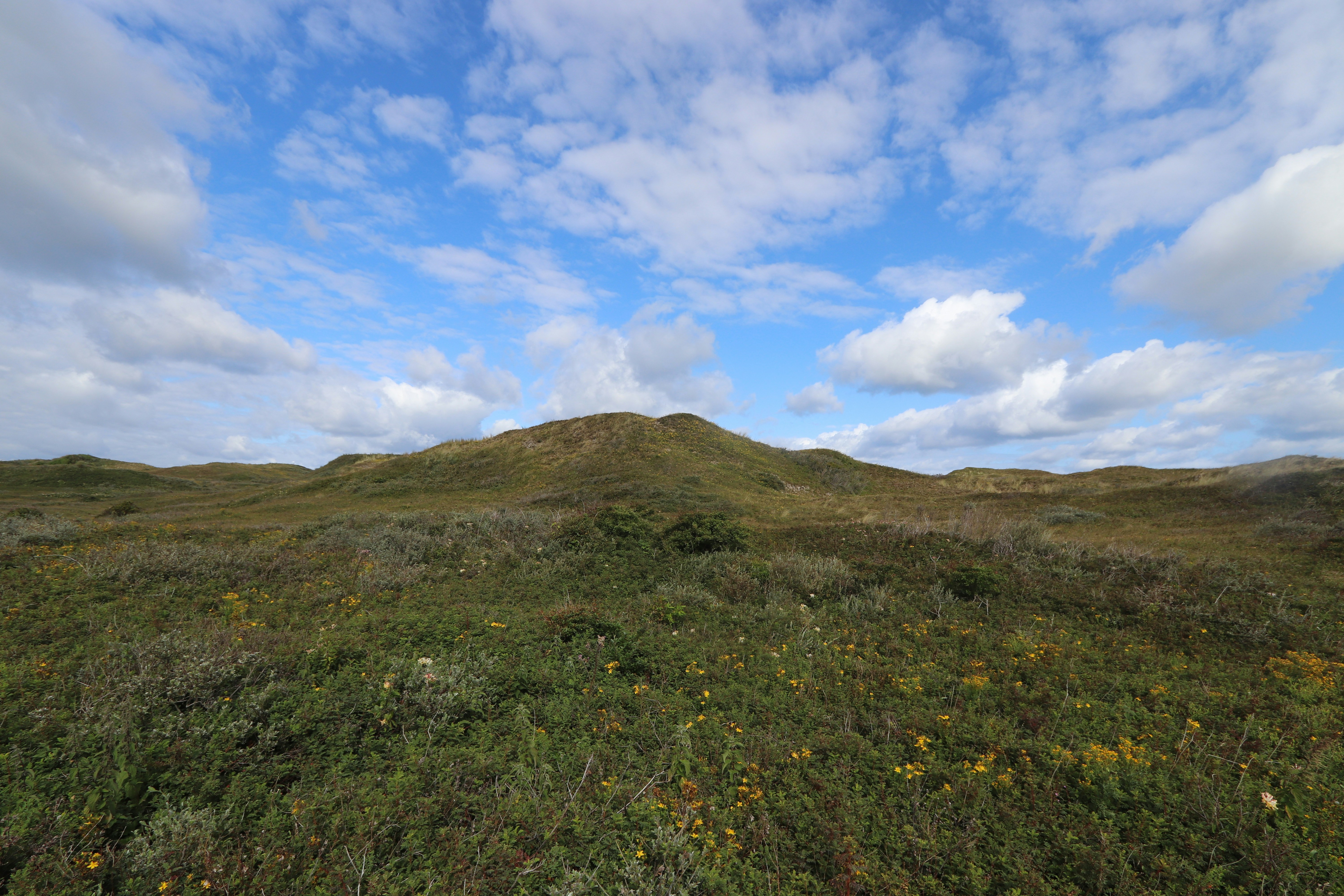 Photo by justmejuliee