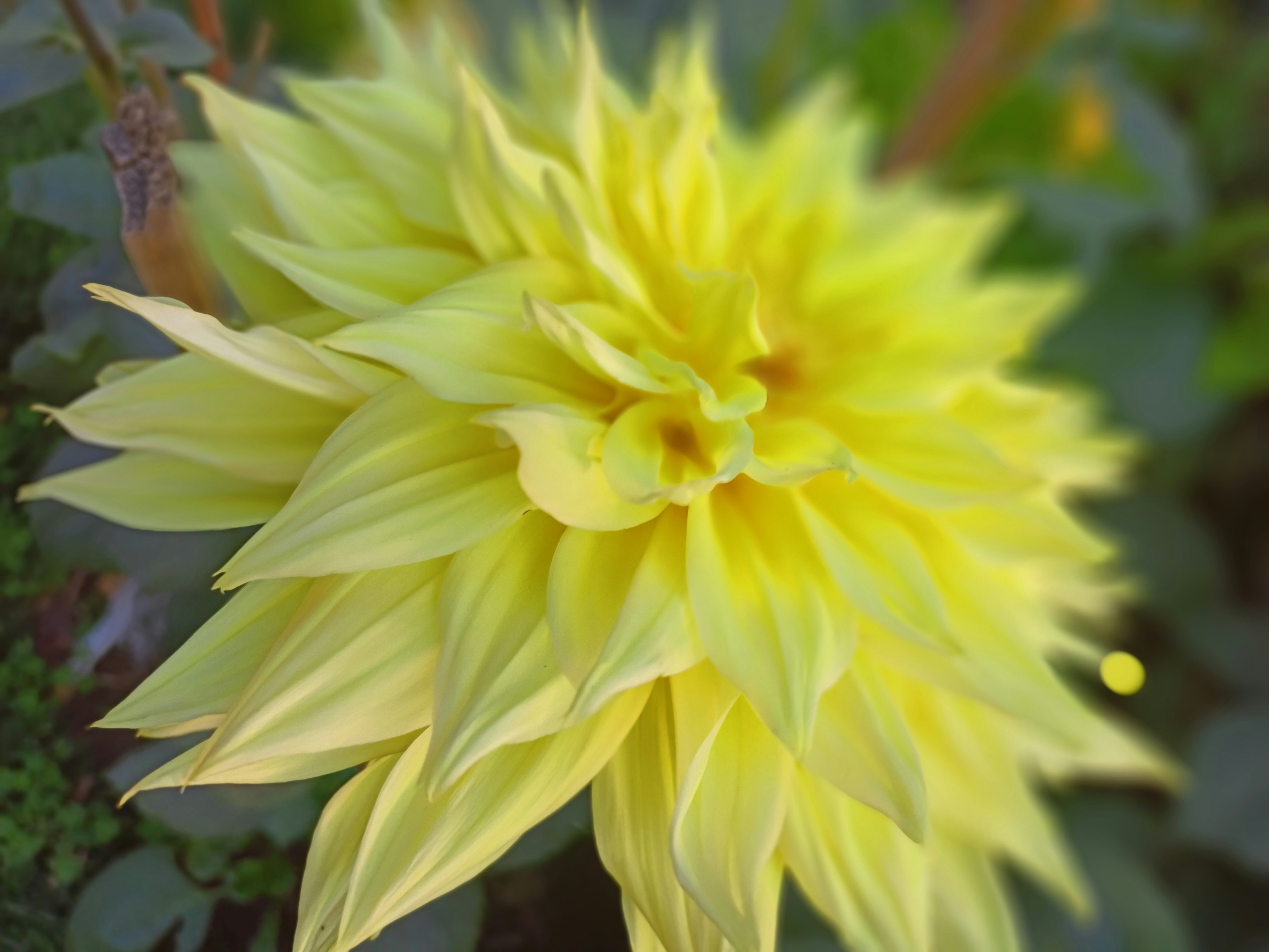 Photo by nalini_rana