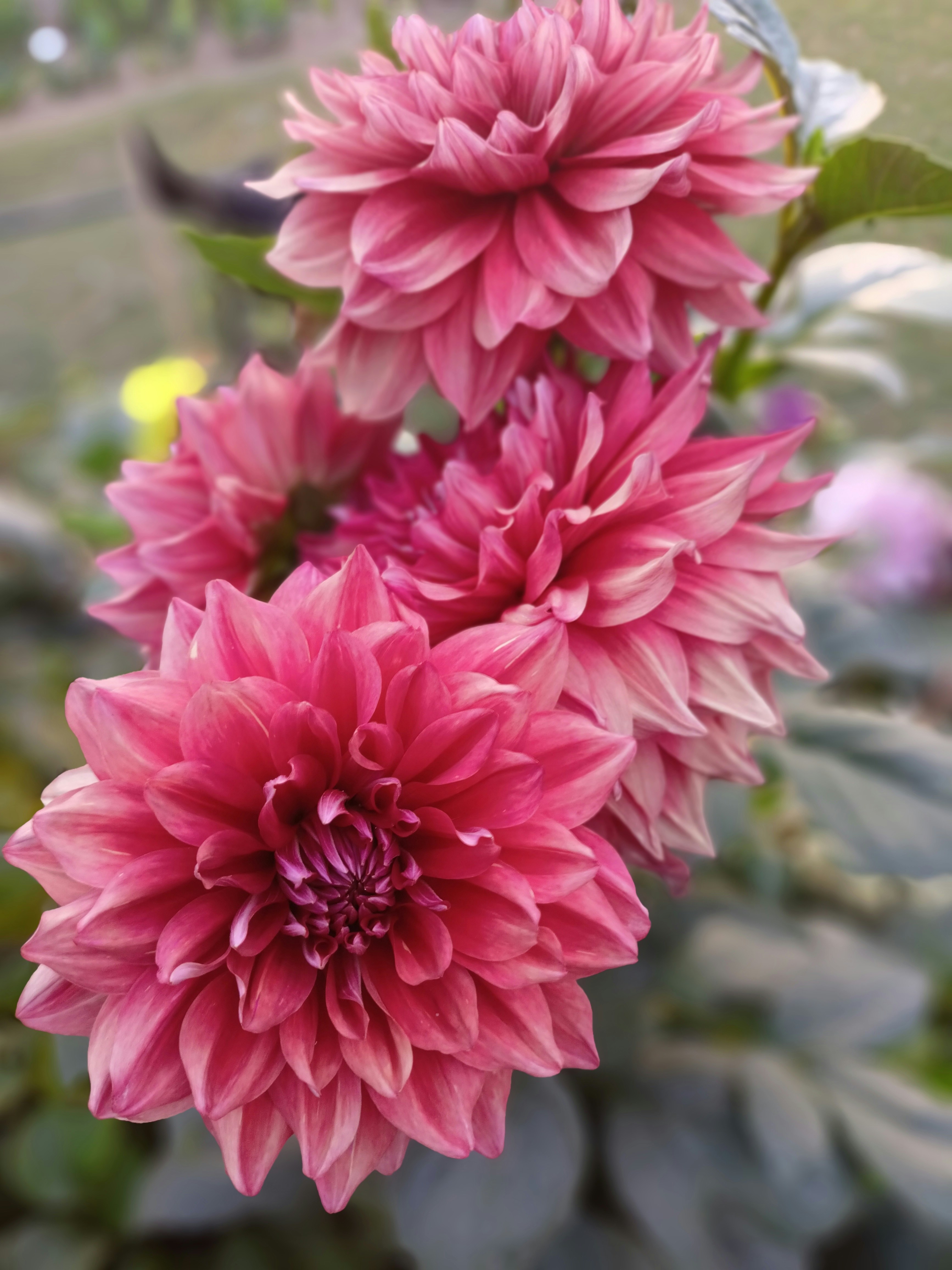 Photo by nalini_rana