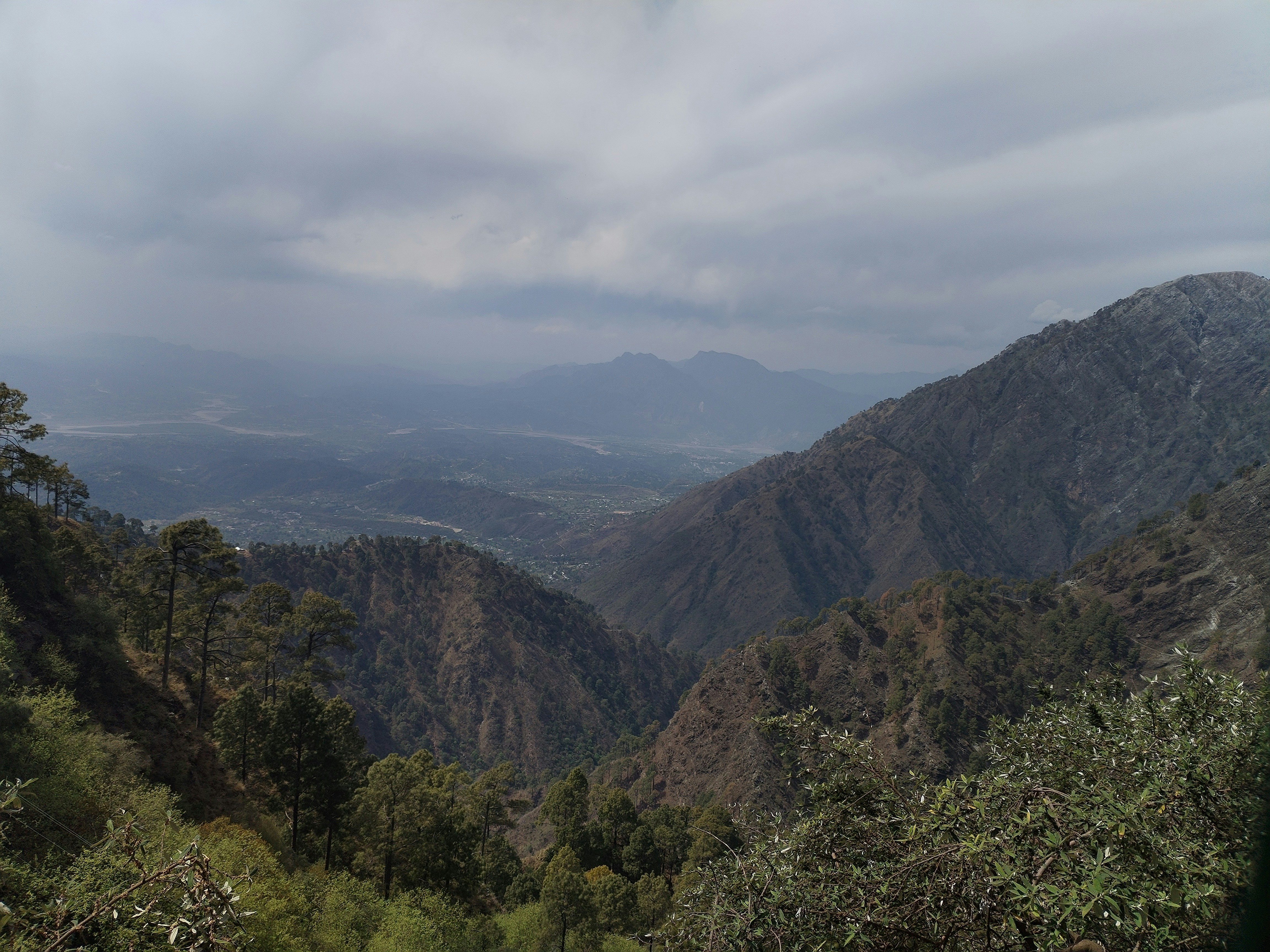 Photo by nalini_rana