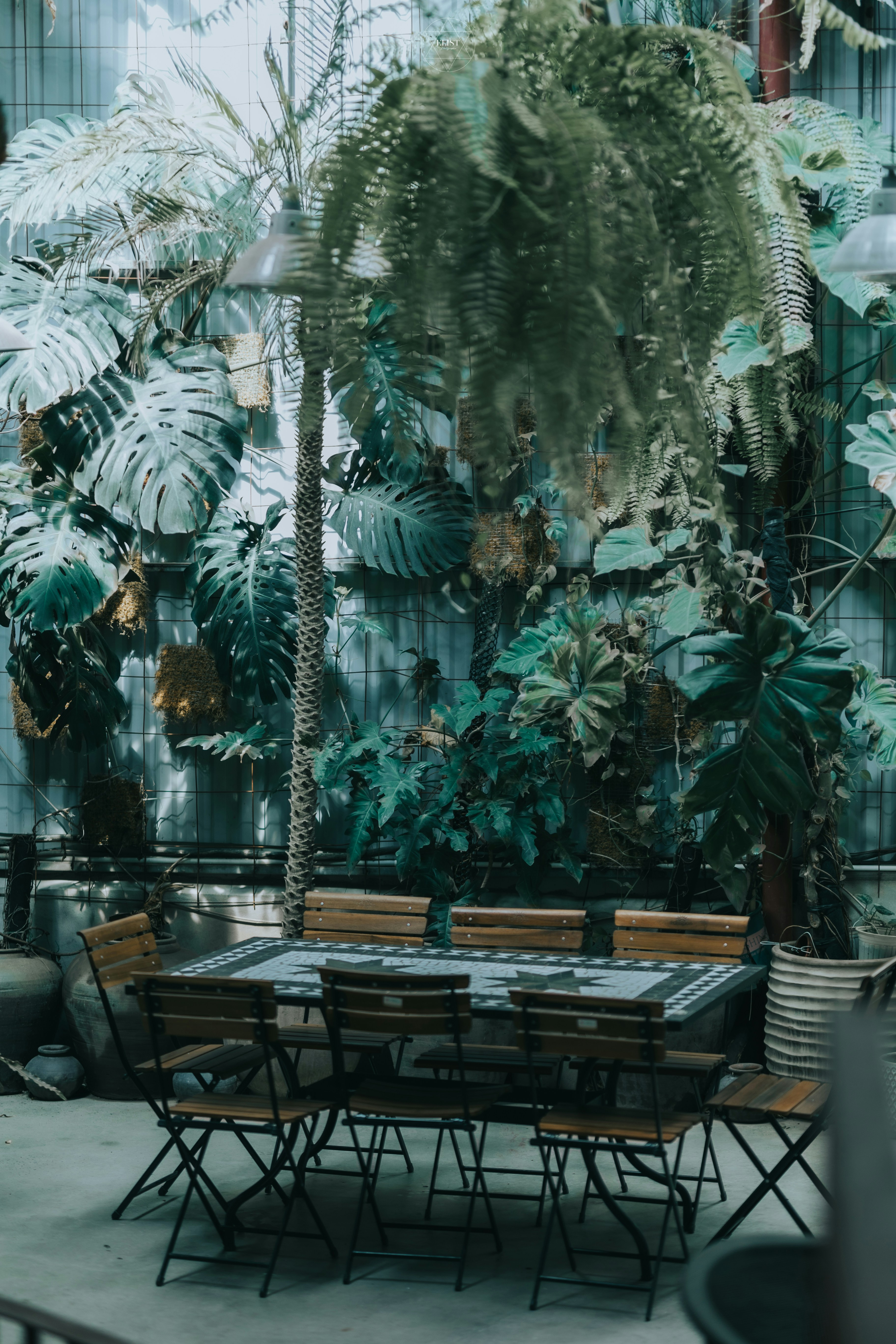 Photo by hieuanhcauam