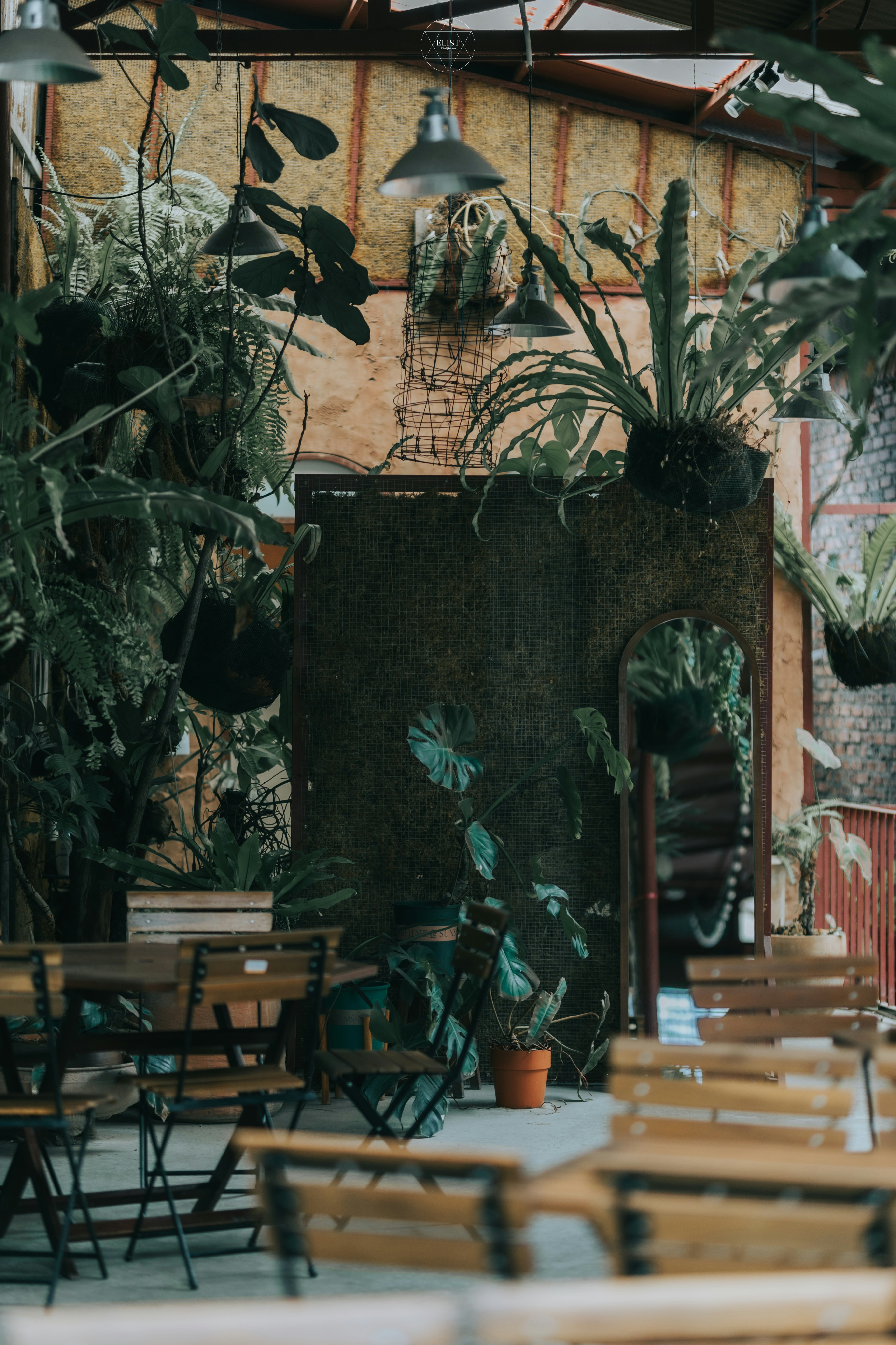 Photo by hieuanhcauam