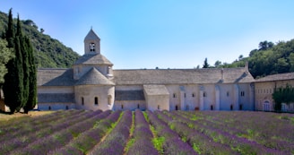 Abbaye de Sénanque