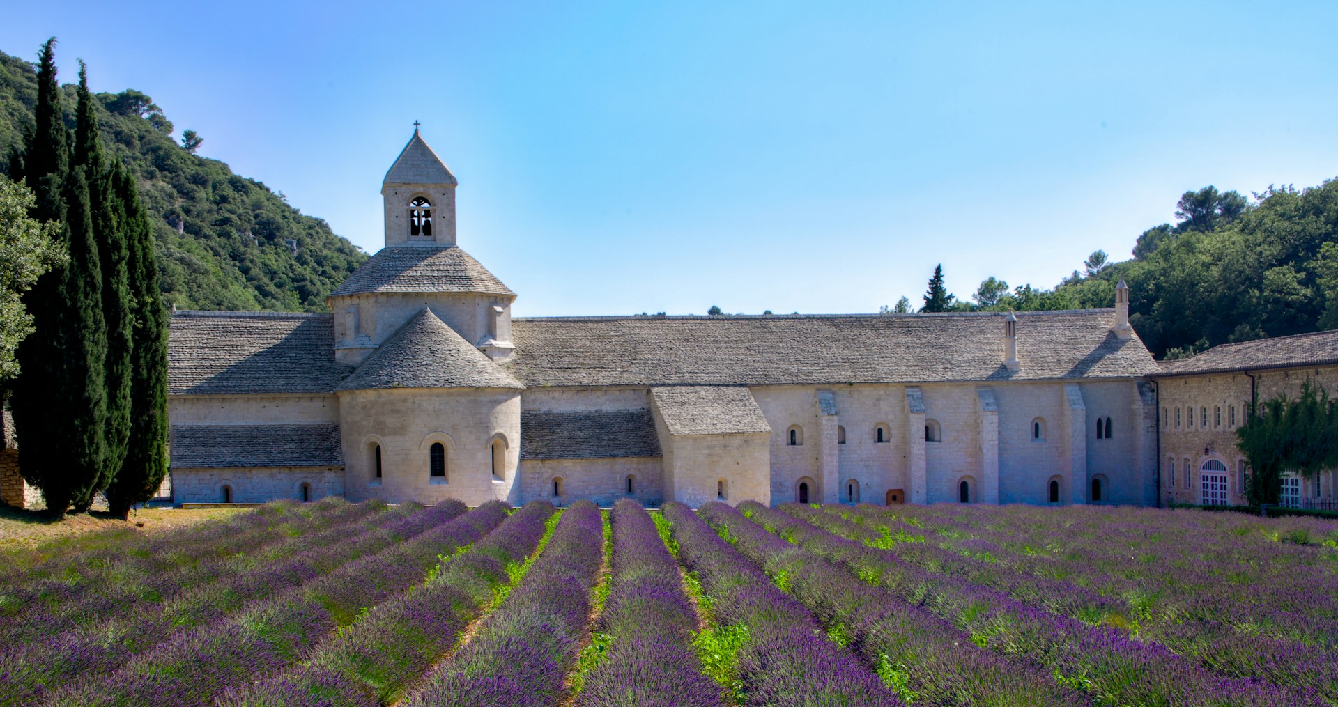 A large building surrounded by a field of lavender