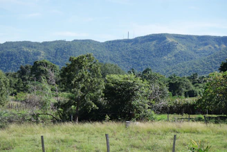 A field with a fence and mountains in the background
