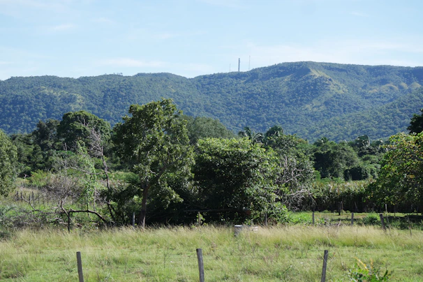 A field with a fence and mountains in the background