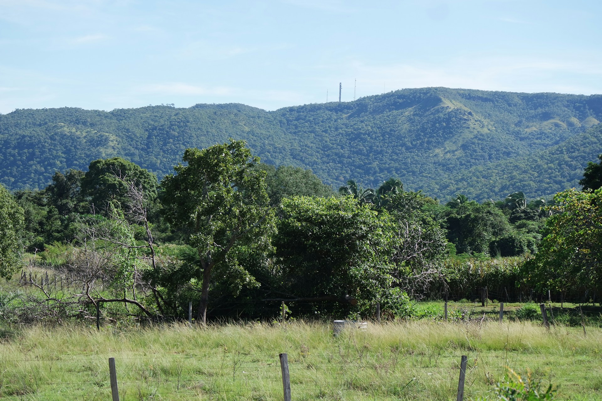 A field with a fence and mountains in the background