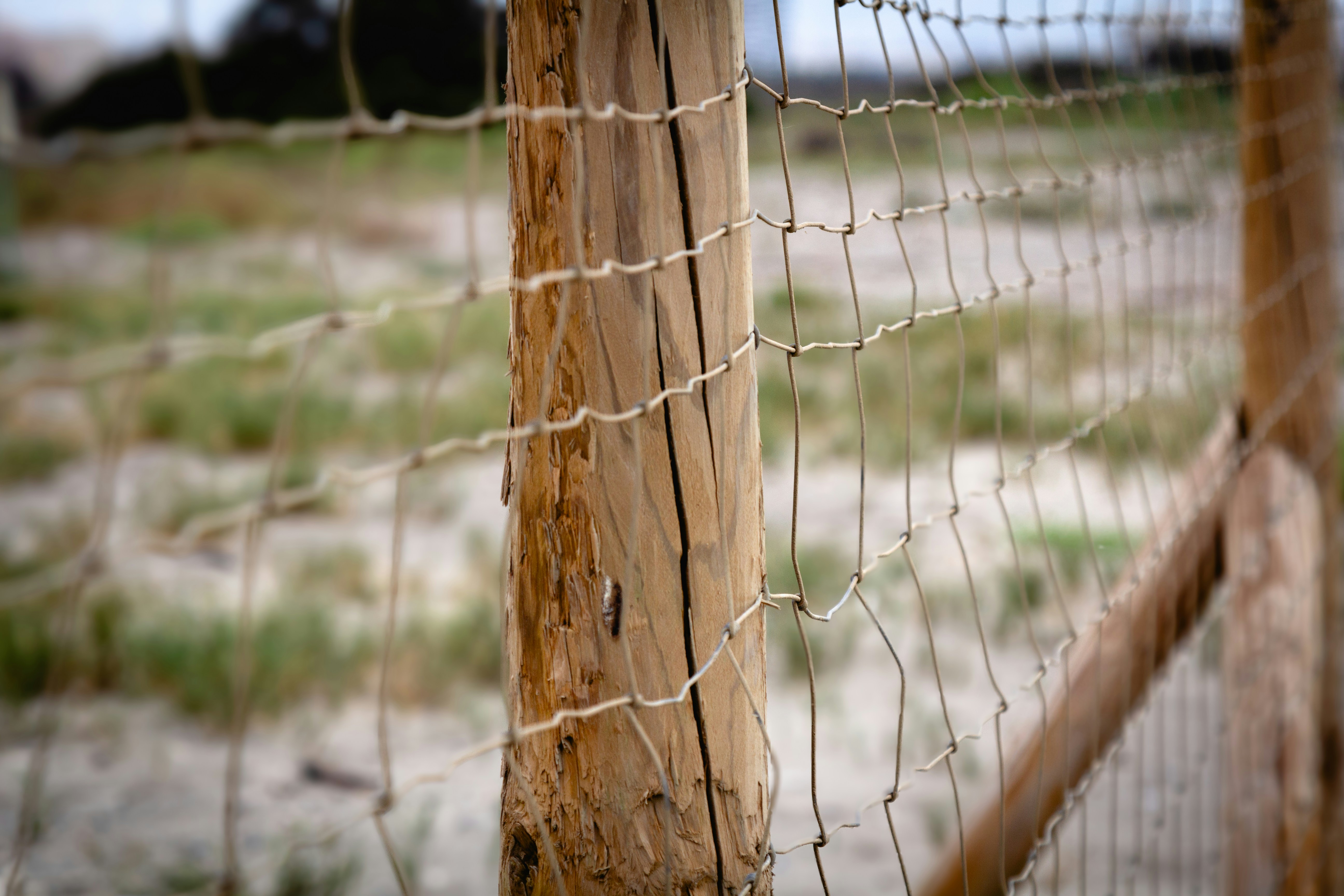 Photo by sandymoonlight