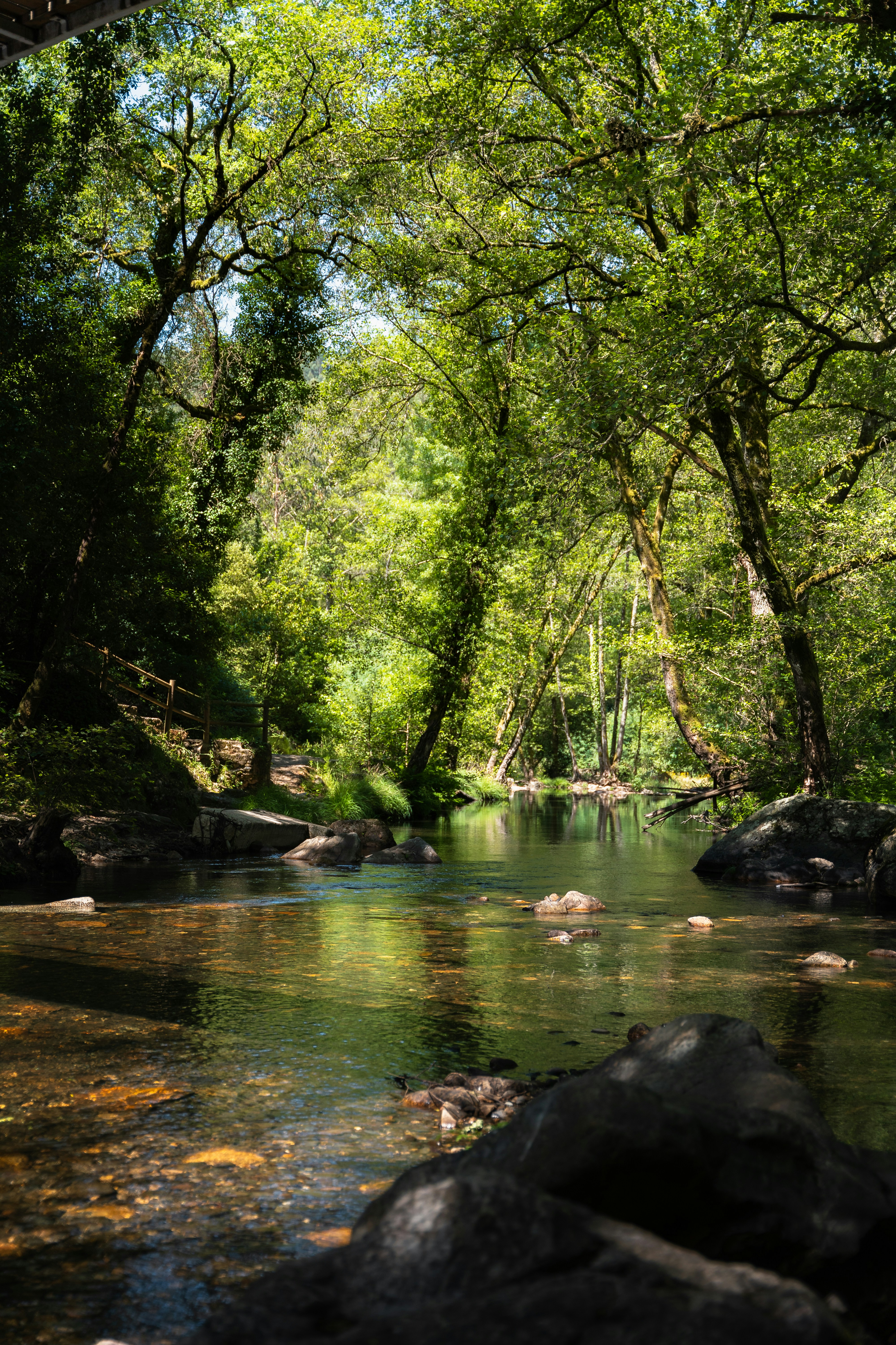 Photo by tiago_f_ferreira