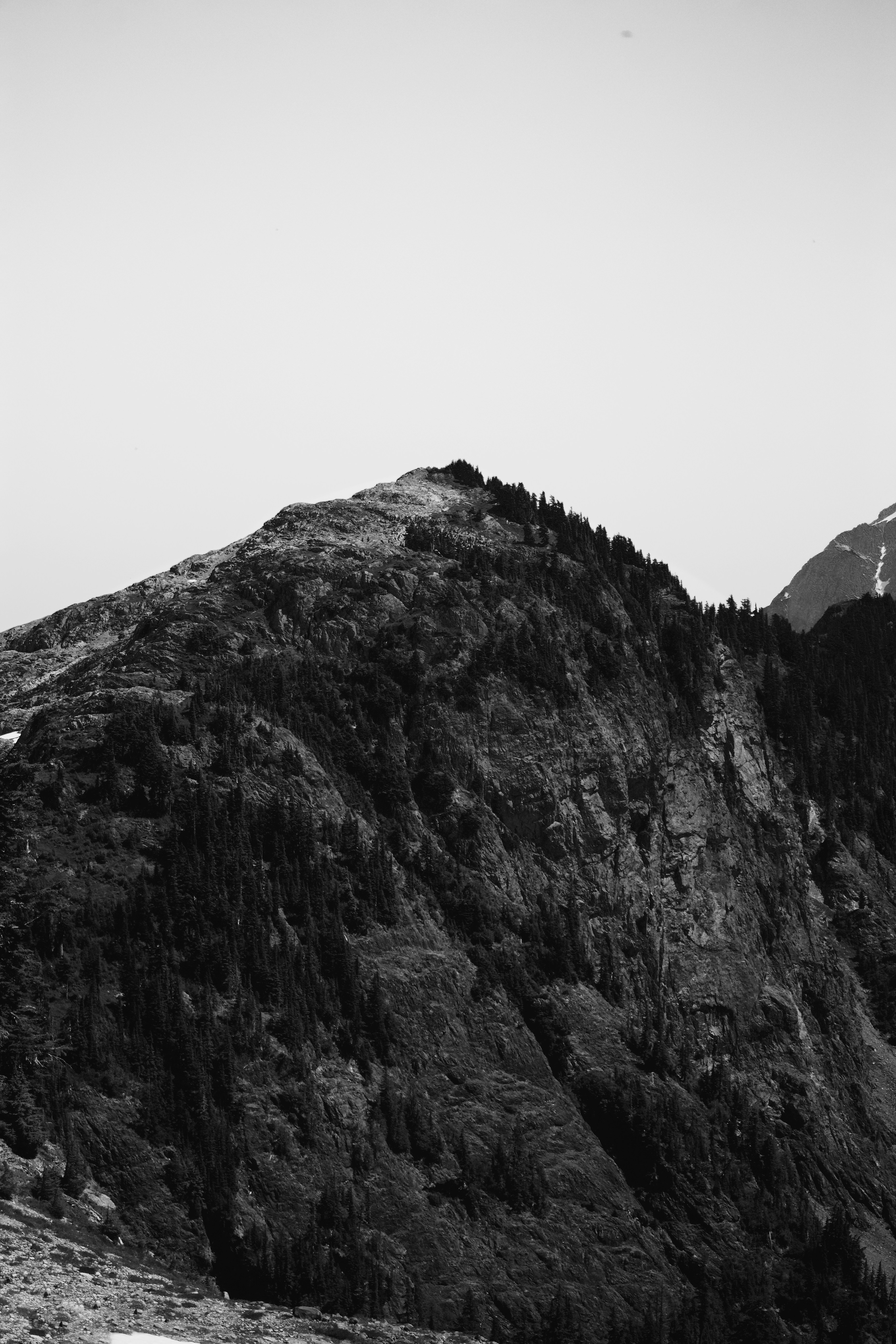 Photo by fickesphotos