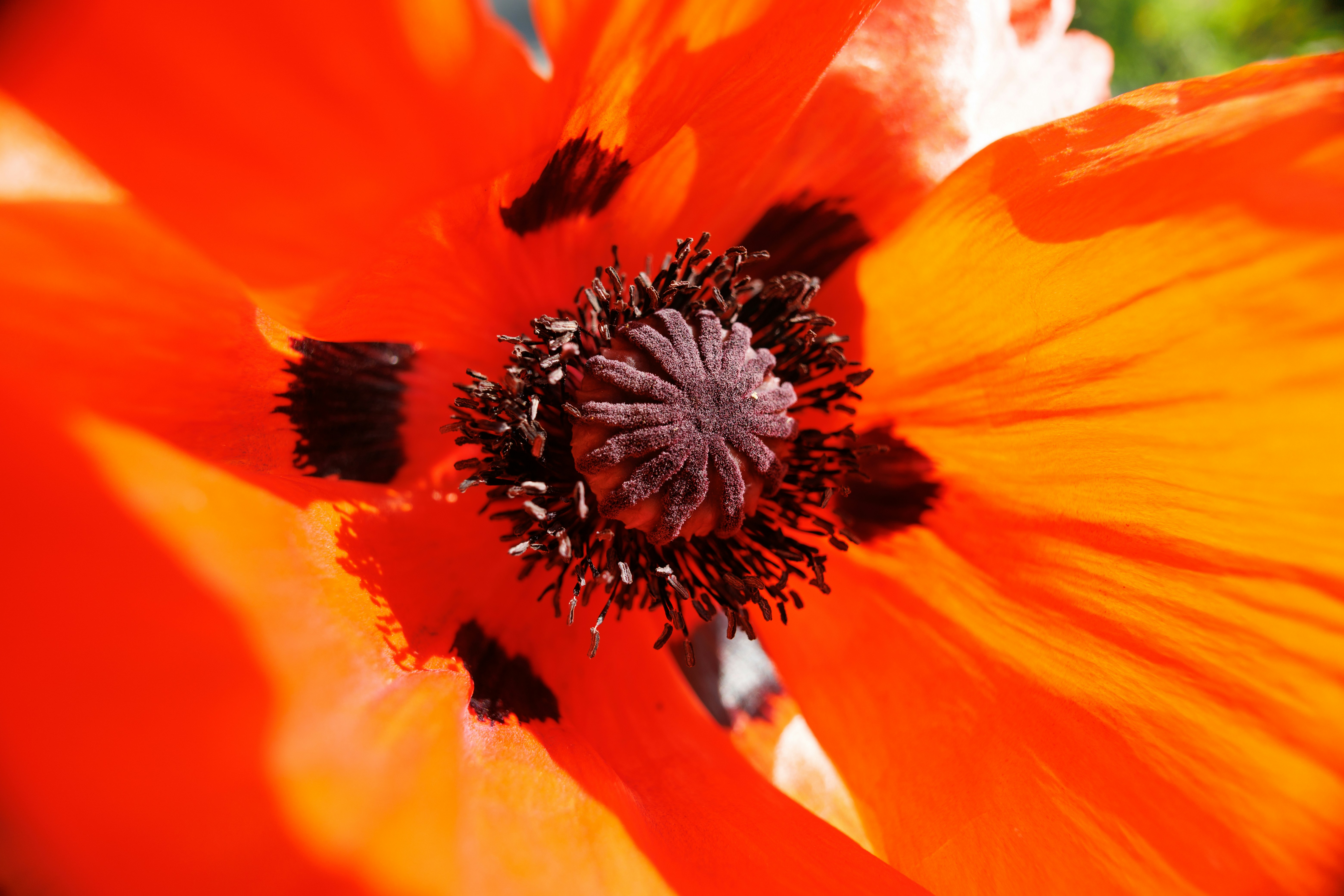 Photo by stockbirken