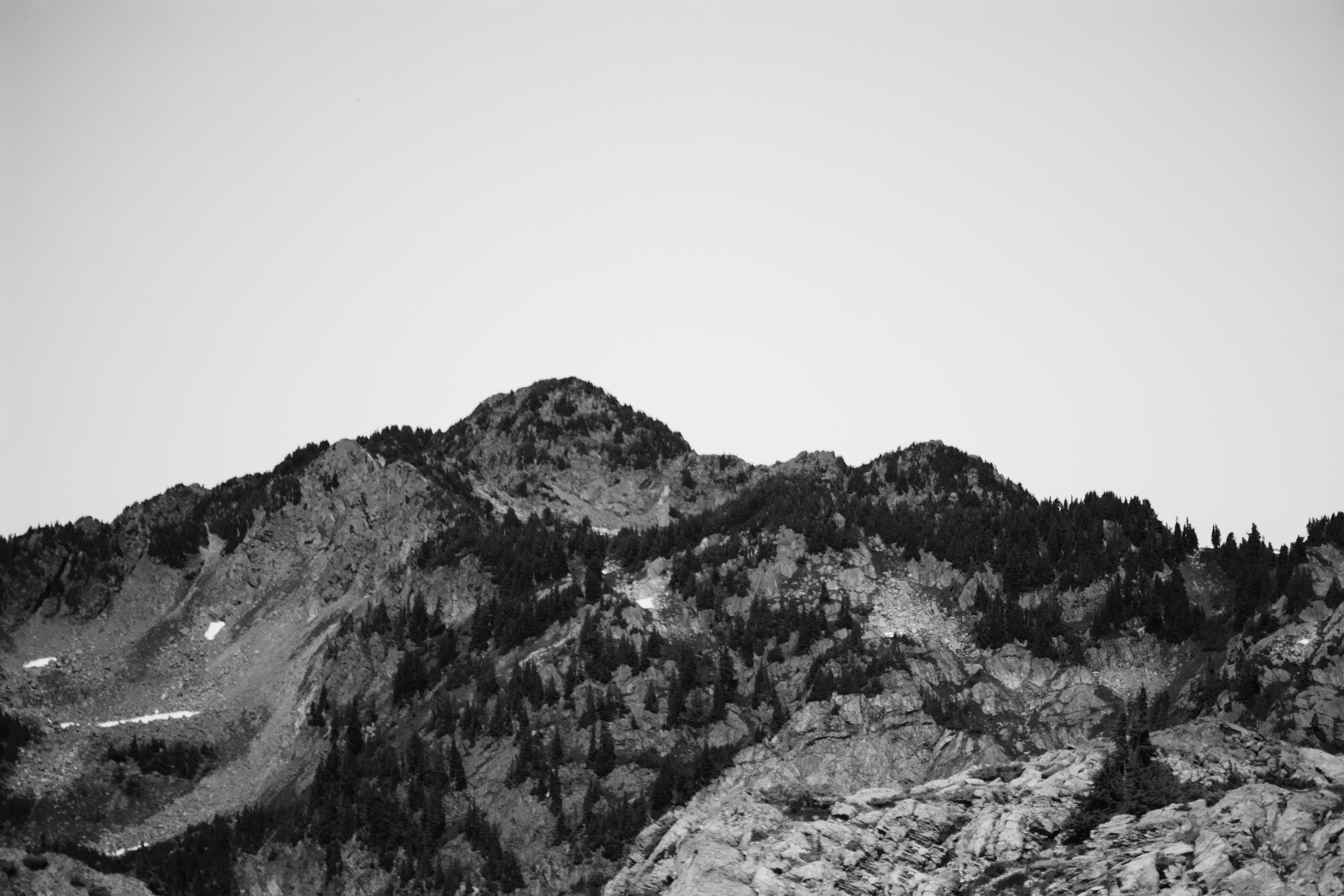 Photo by fickesphotos