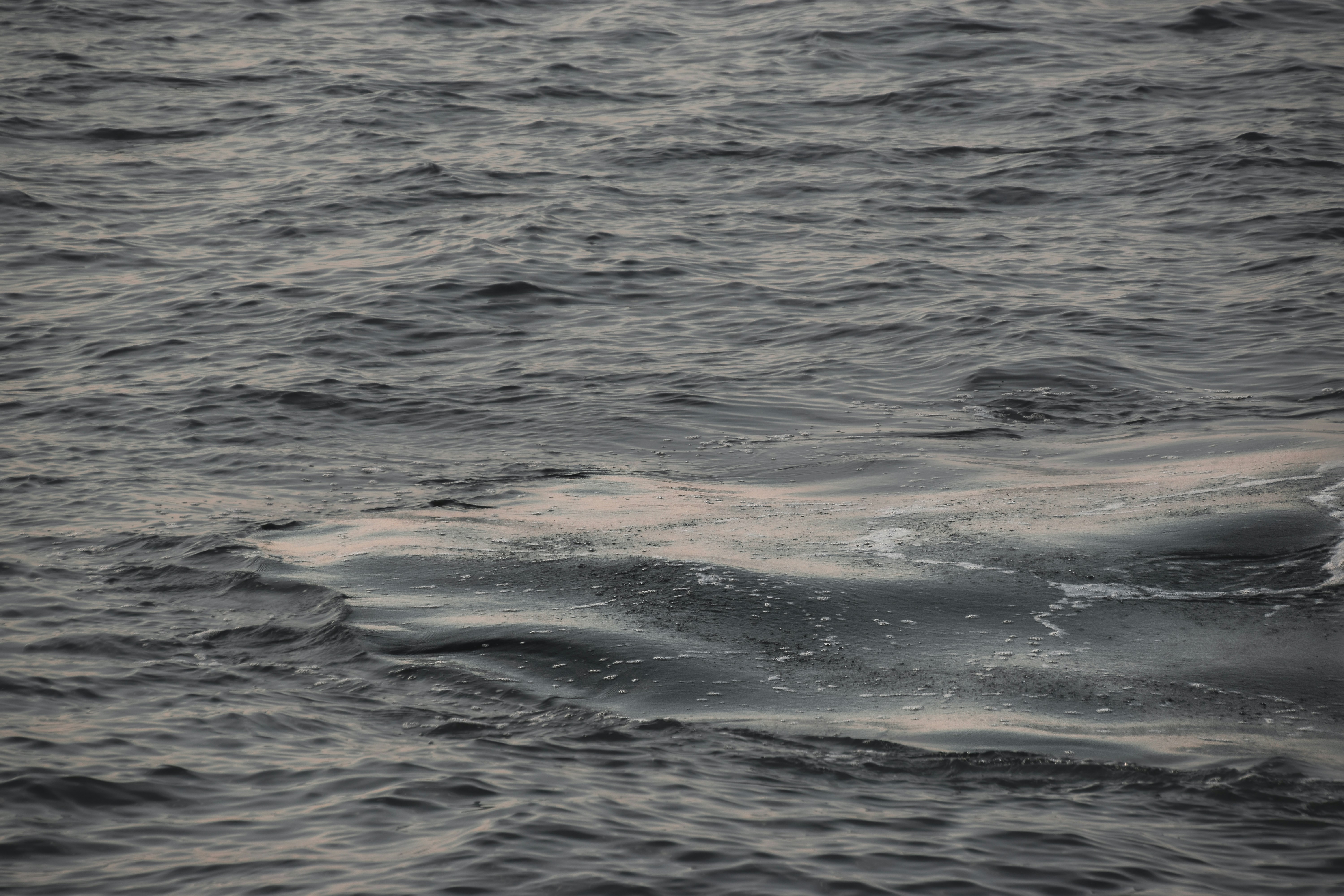 Photo by nh_landscapes