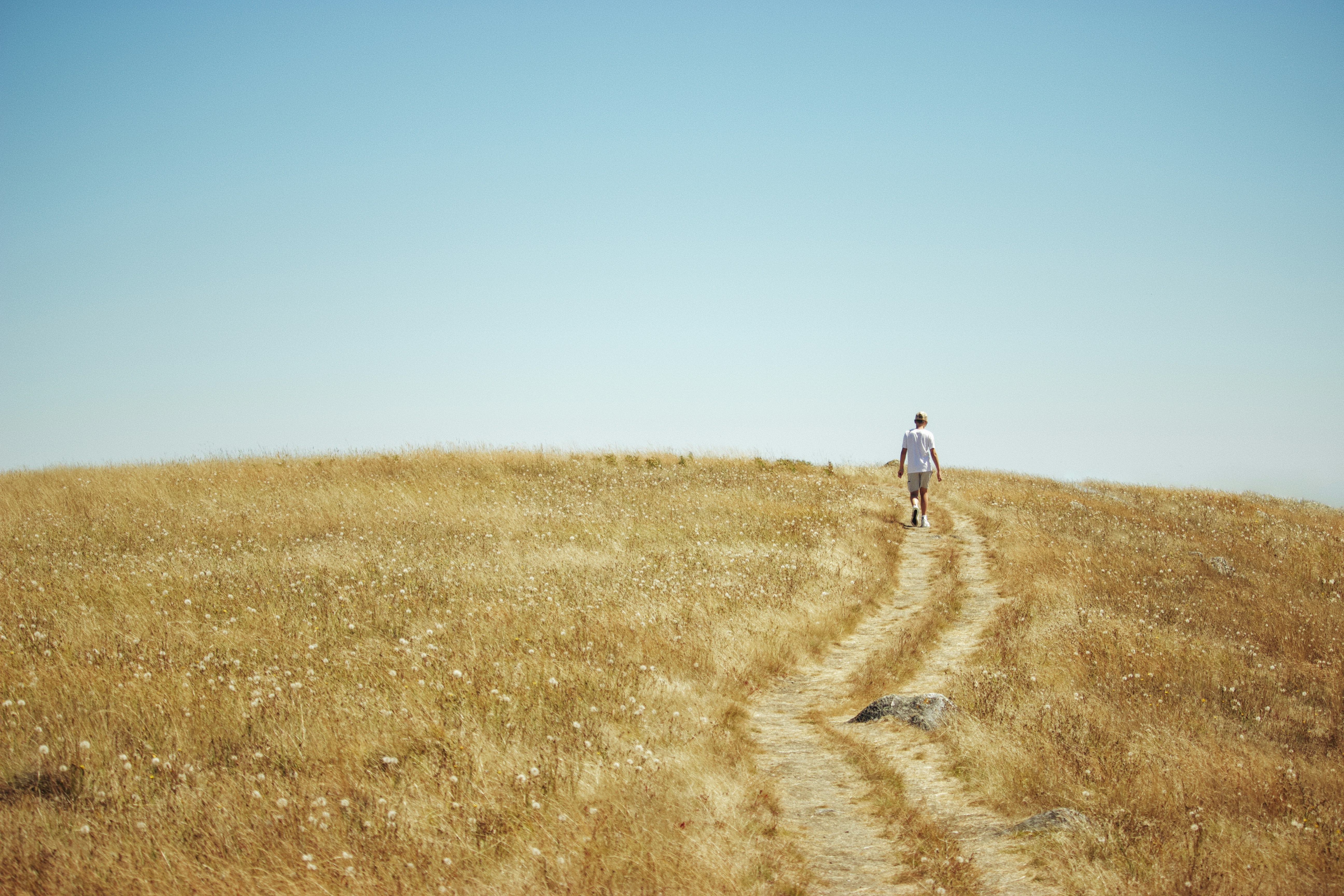 Photo by fickesphotos