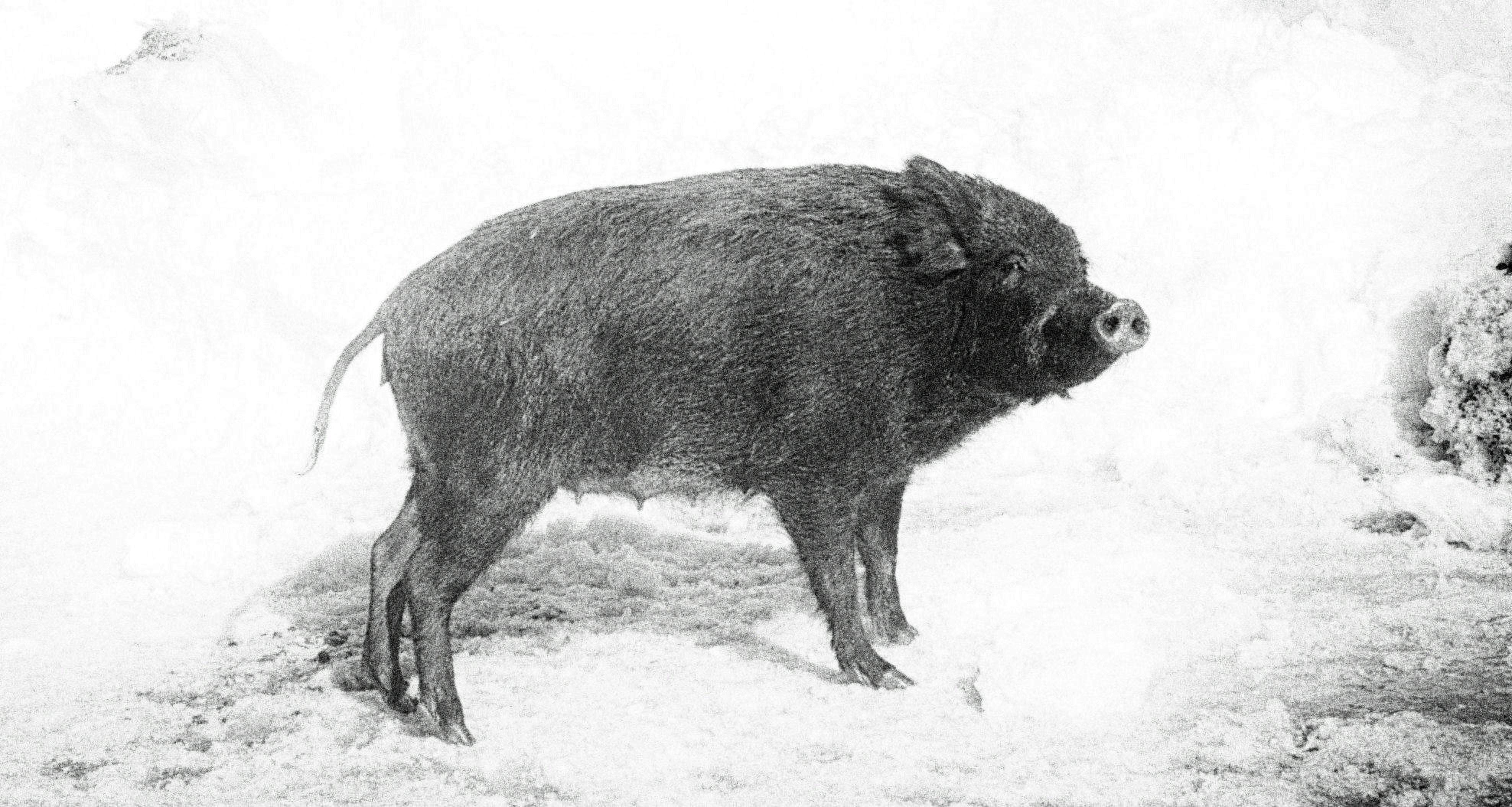 Photo by jonathankslim