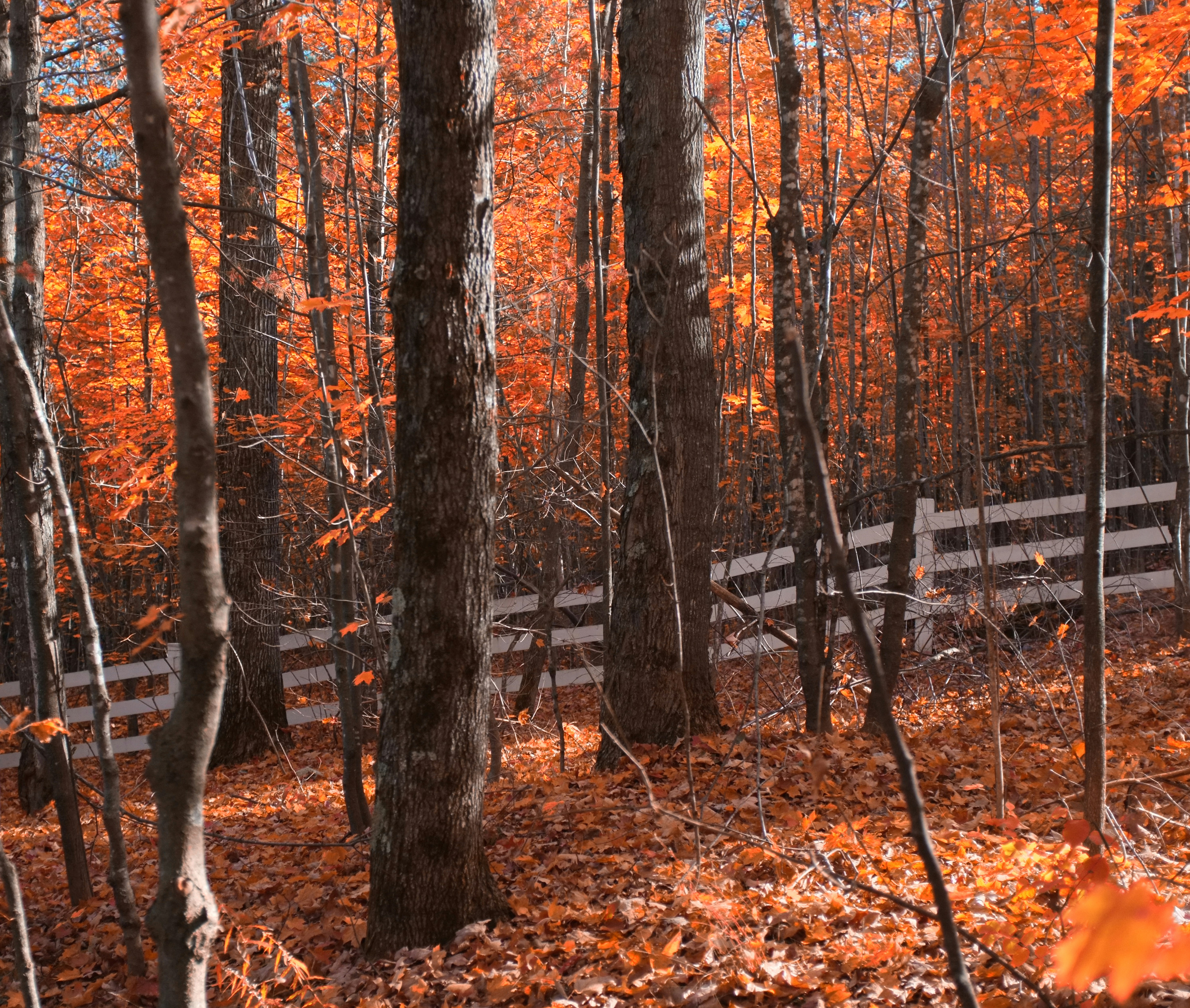 Photo by jonathankslim