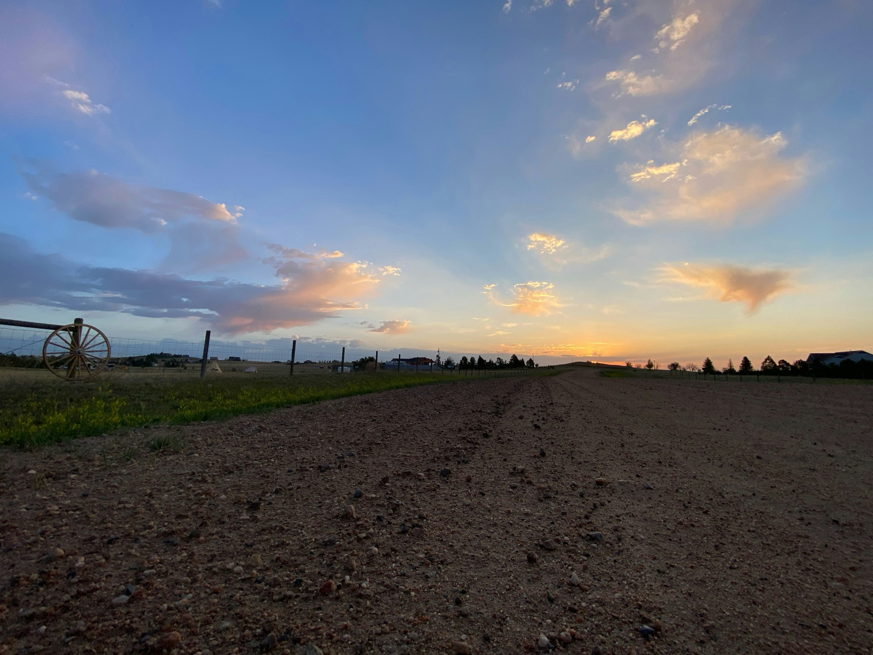 A dirt road in the middle of a field