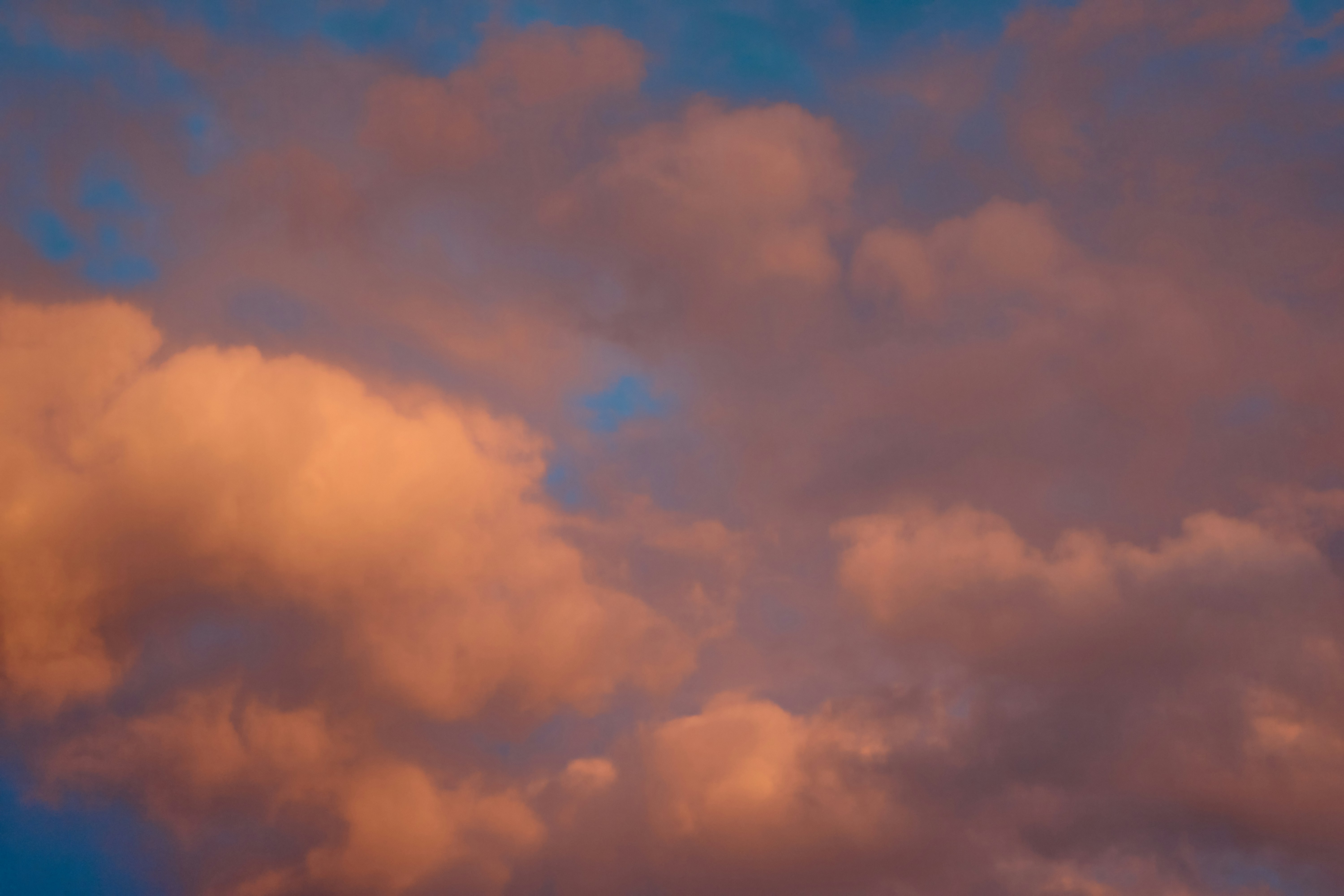 Photo by rostislavbudzan