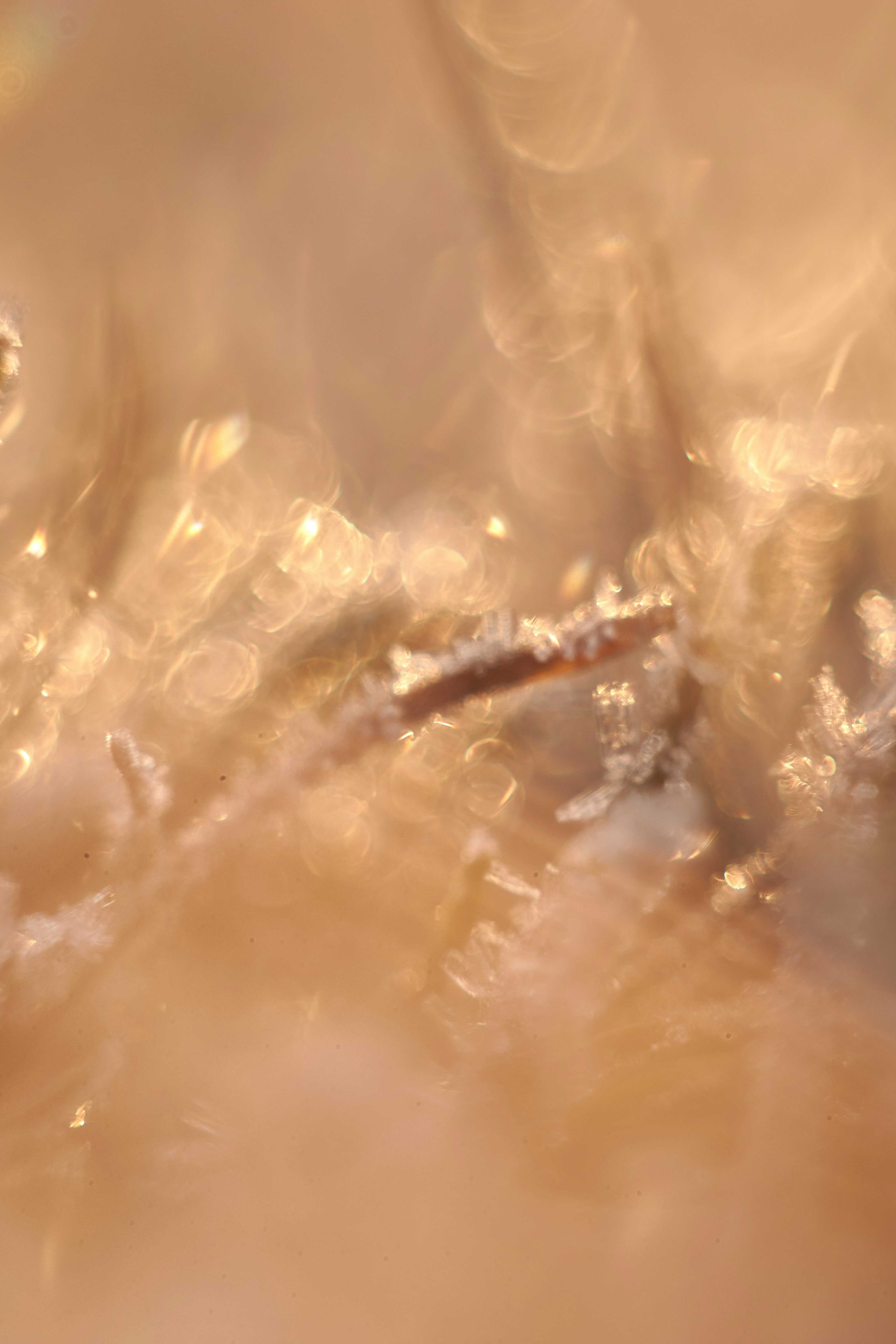 Photo by rostislavbudzan