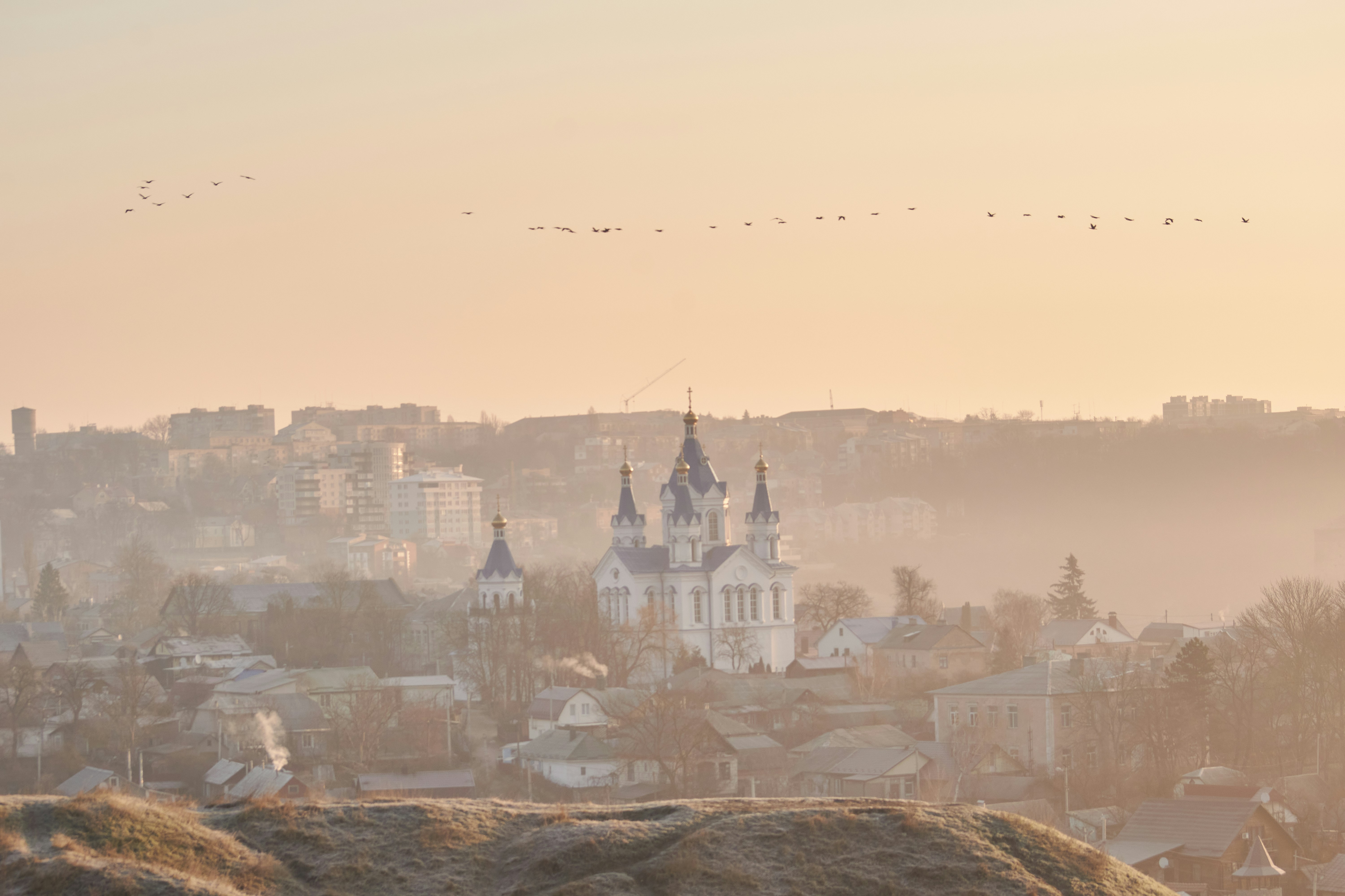 Photo by rostislavbudzan