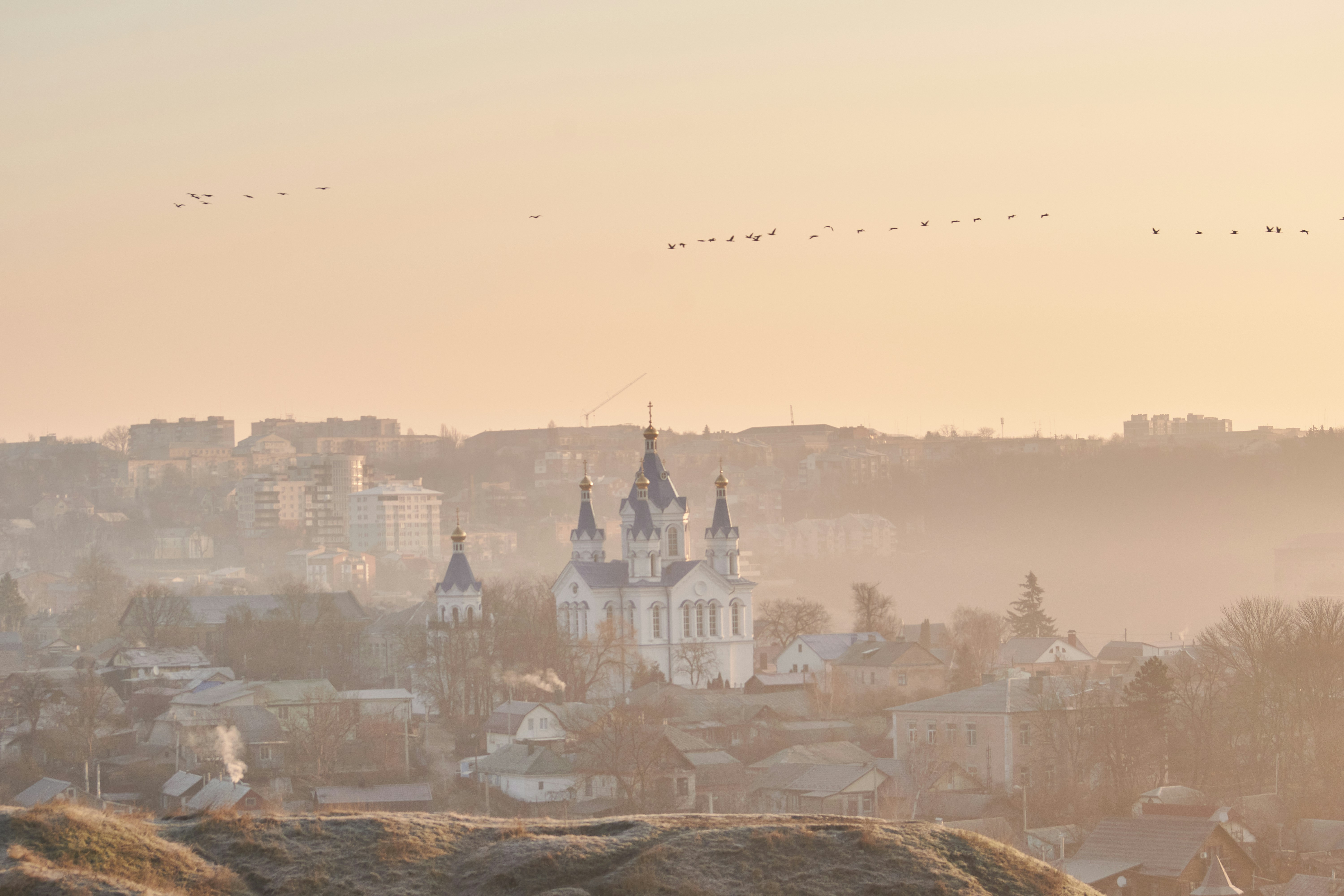 Photo by rostislavbudzan