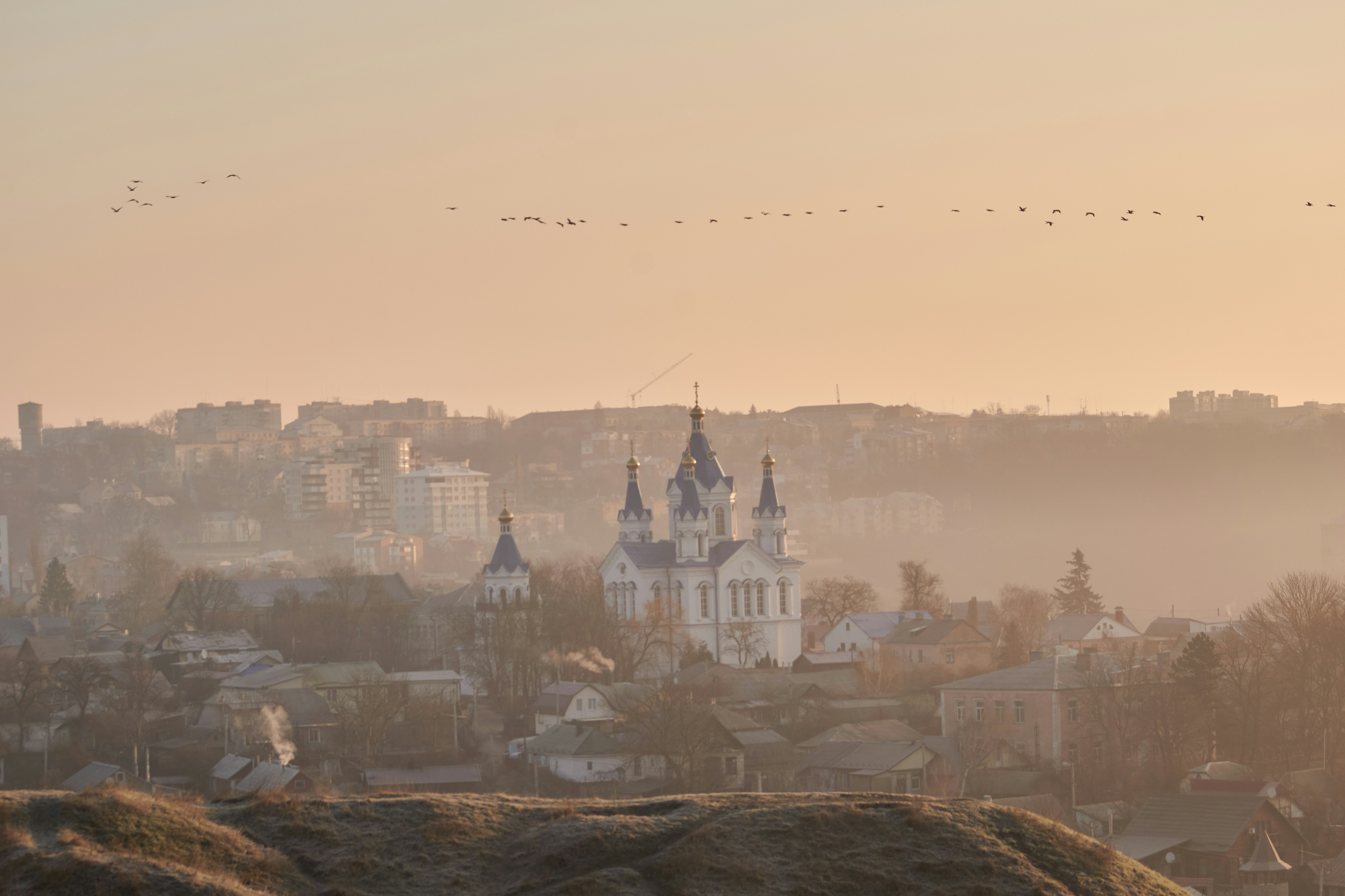 Photo by rostislavbudzan