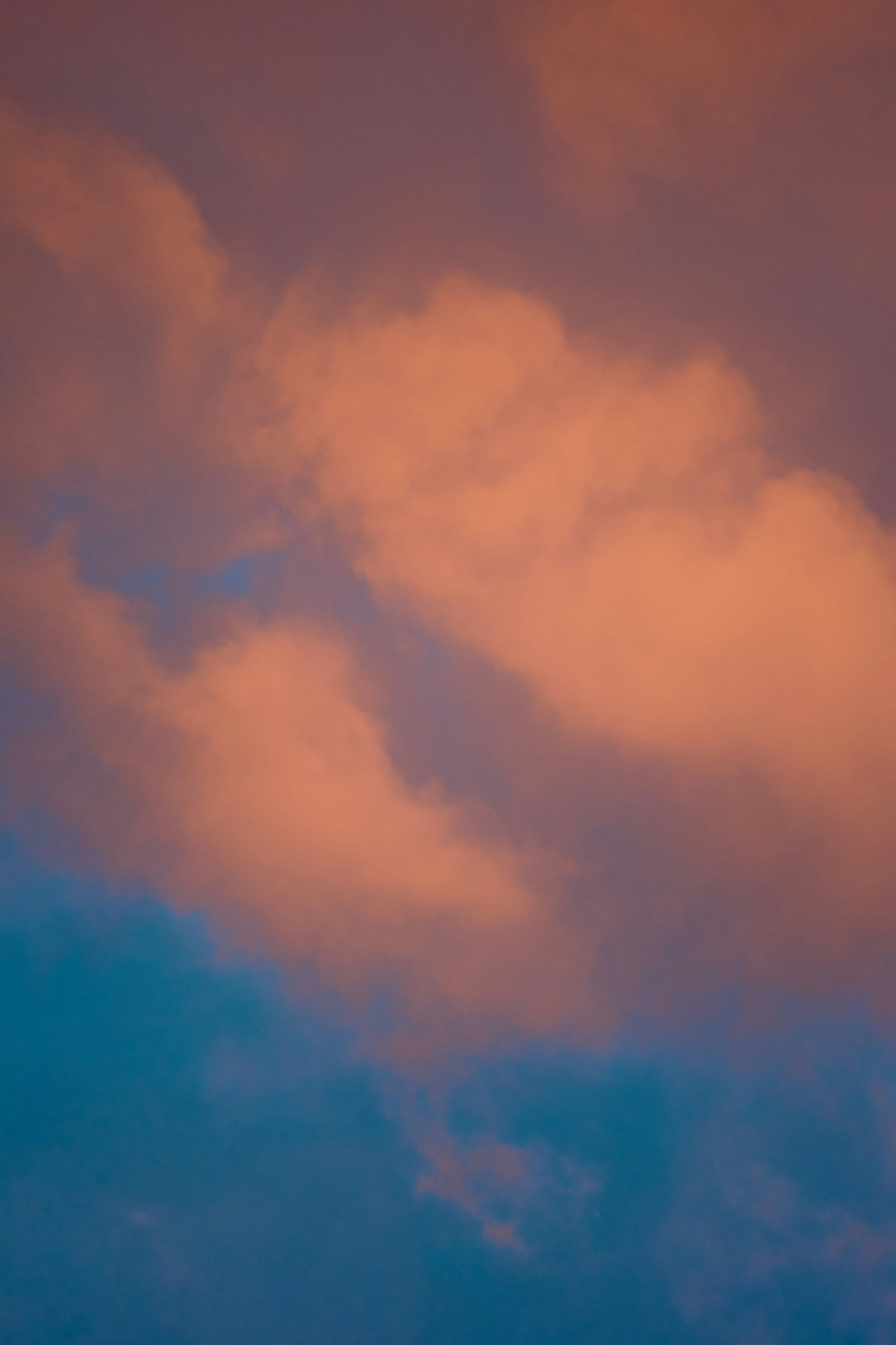 Photo by rostislavbudzan