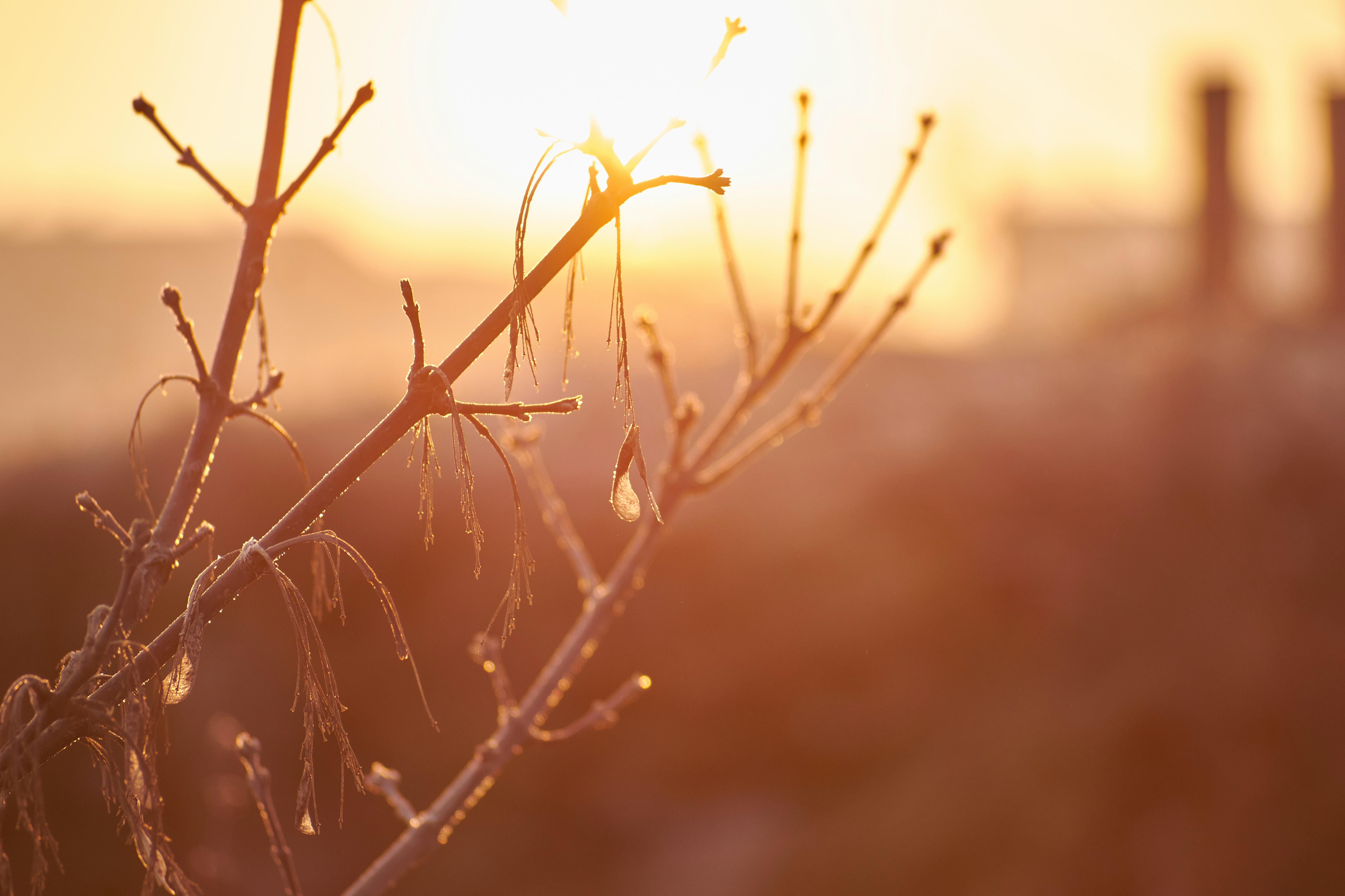 Photo by rostislavbudzan