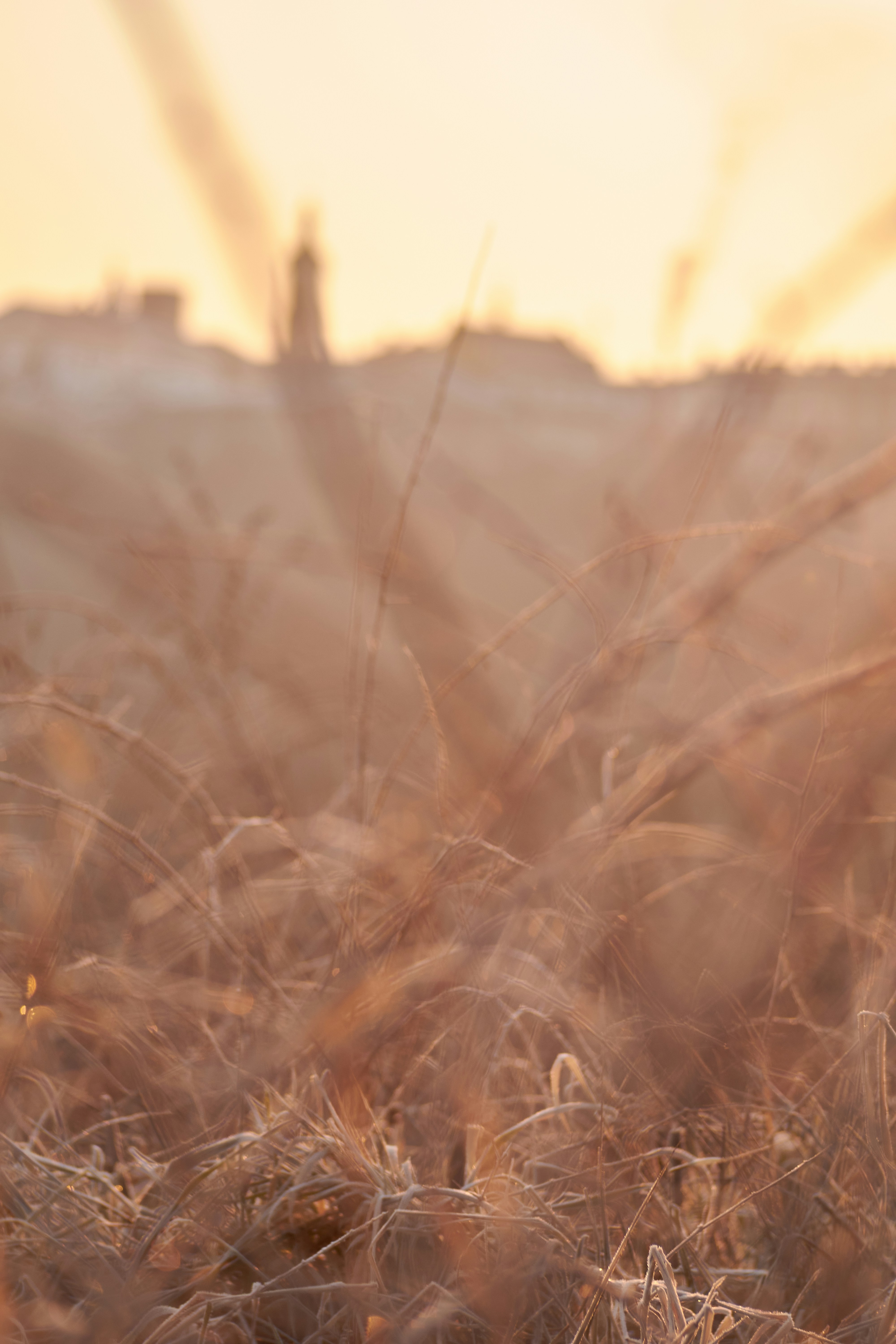 Photo by rostislavbudzan