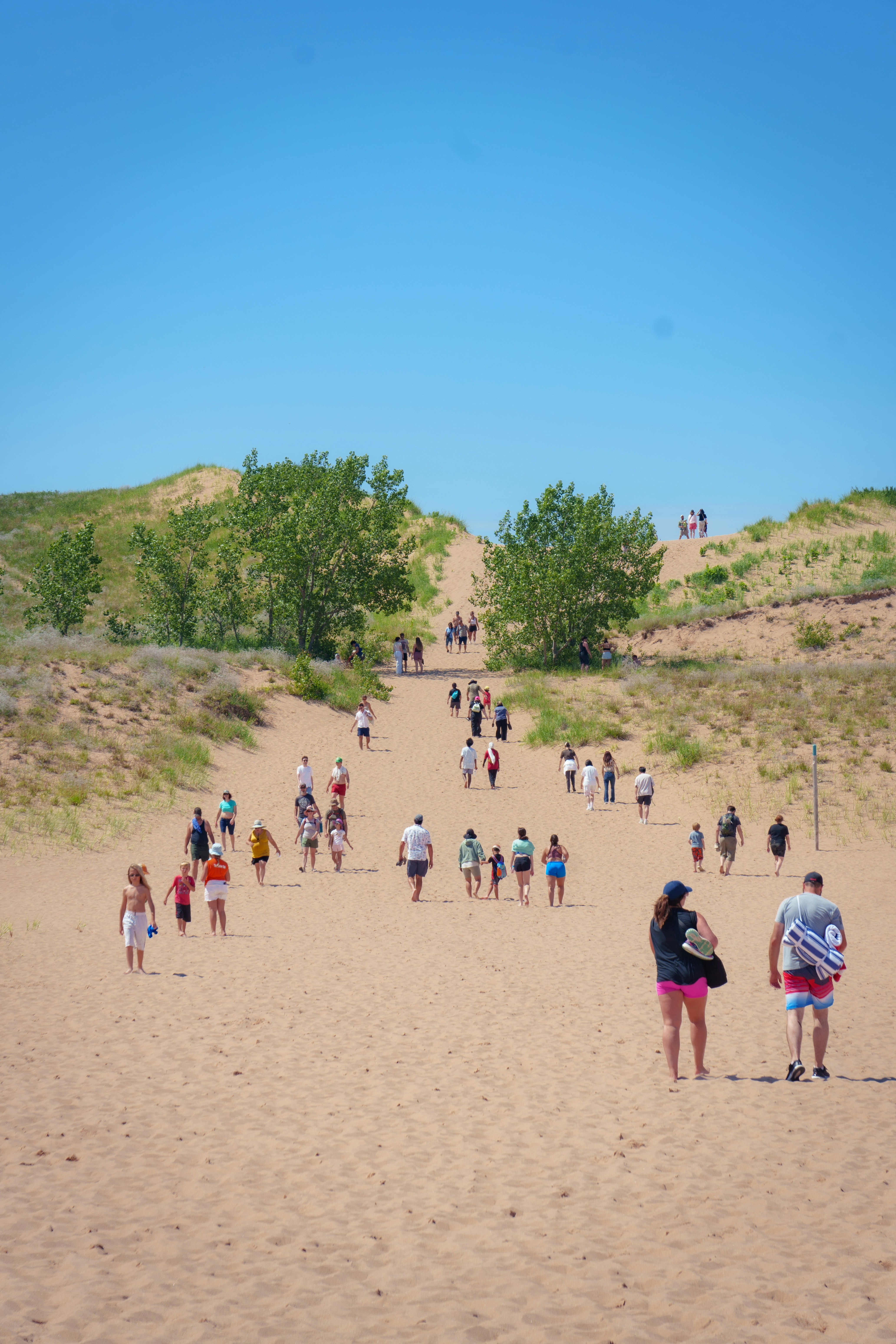 Explore Downtown Traverse City