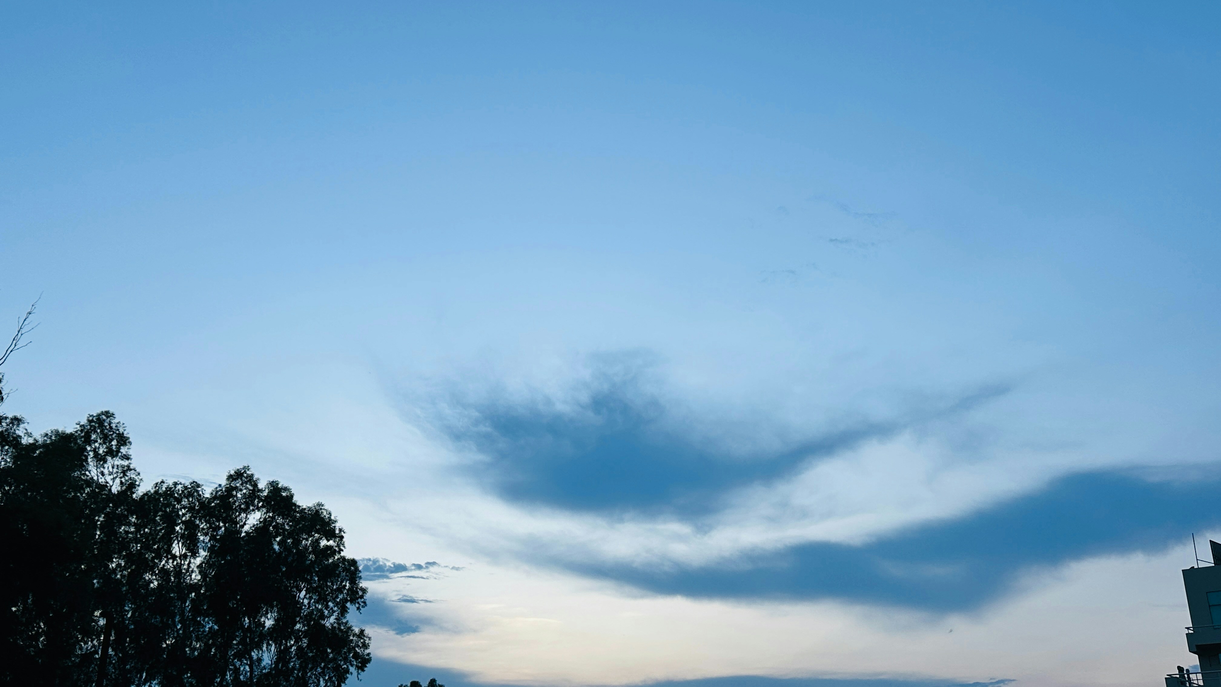 Photo by naturebyneha