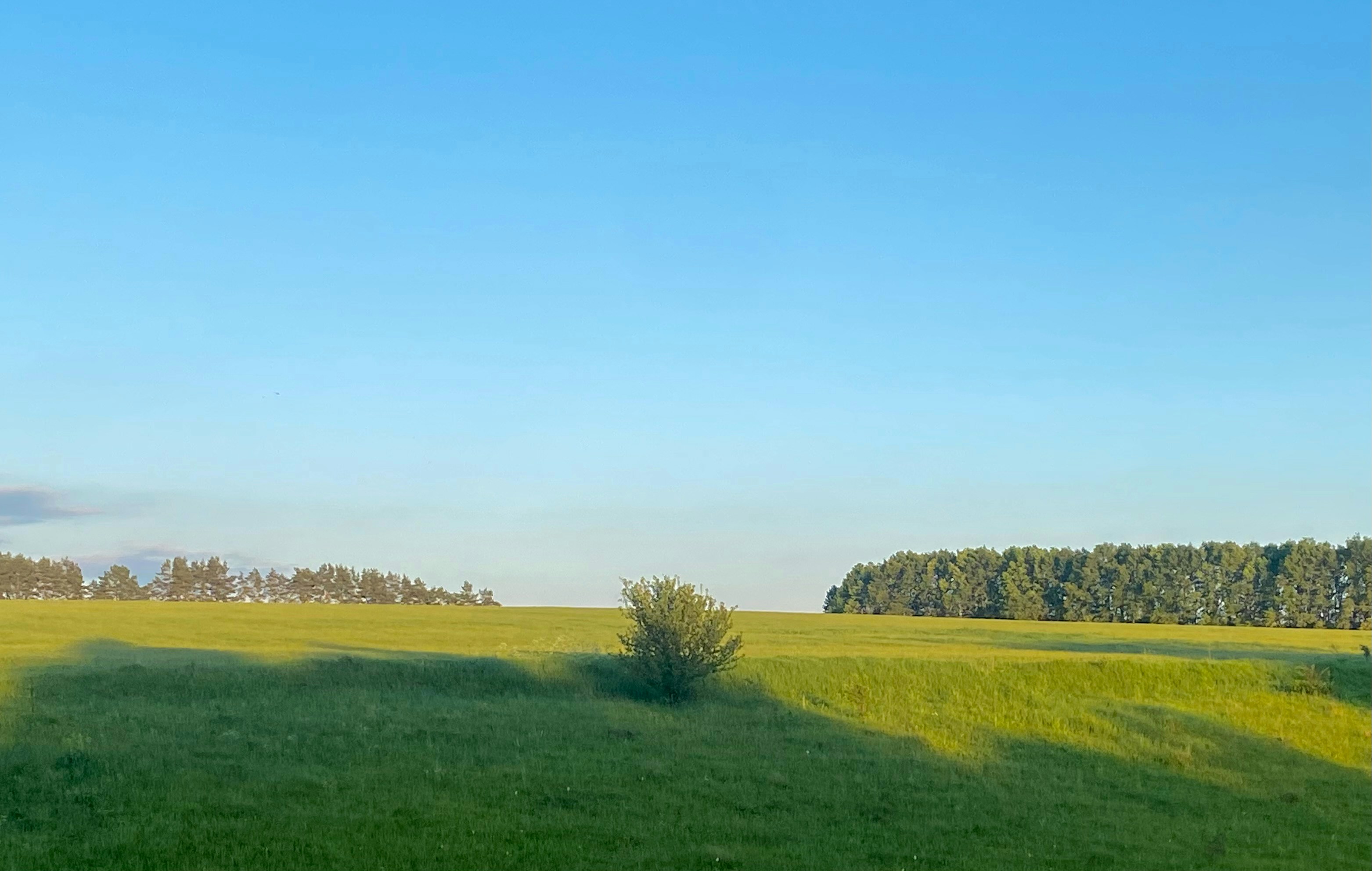 Photo by egorov_danila