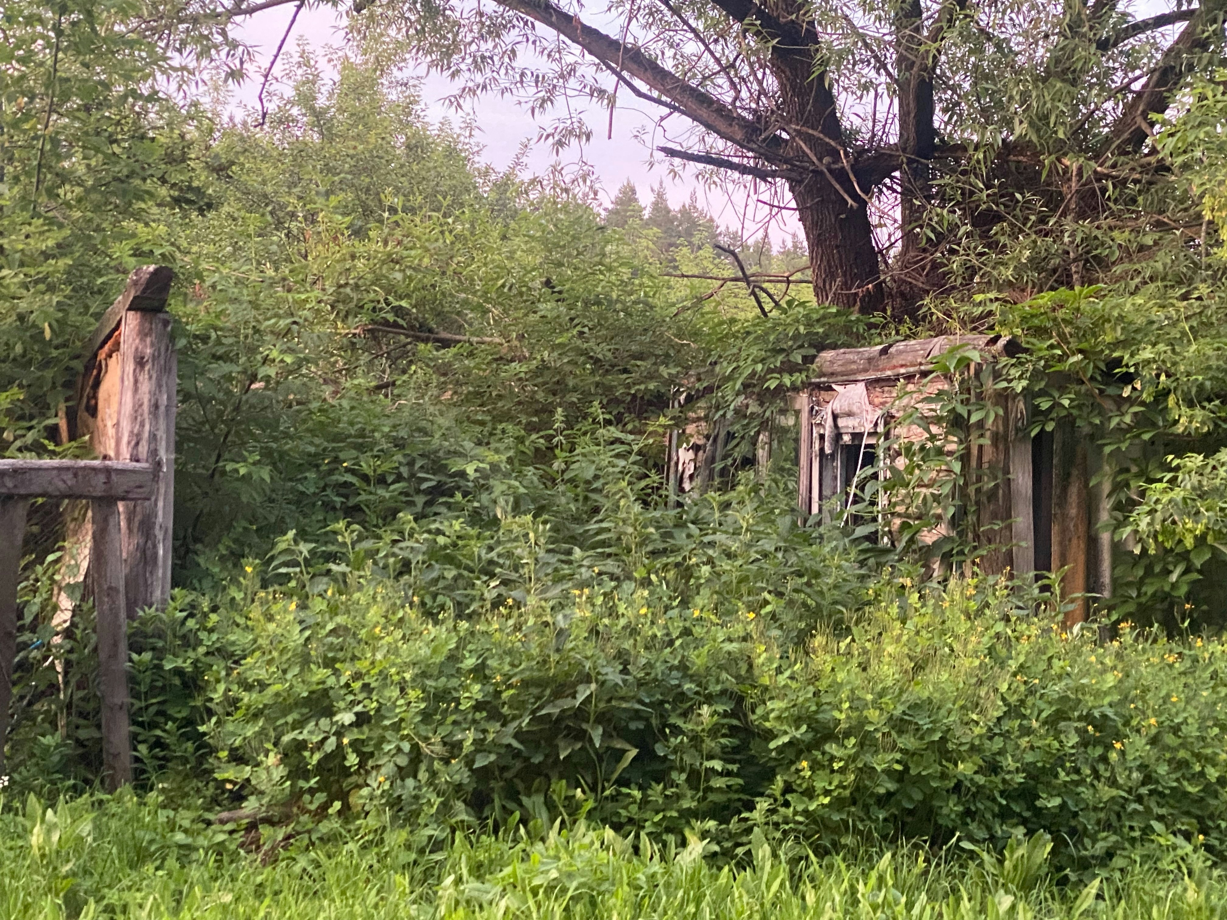 Photo by egorov_danila