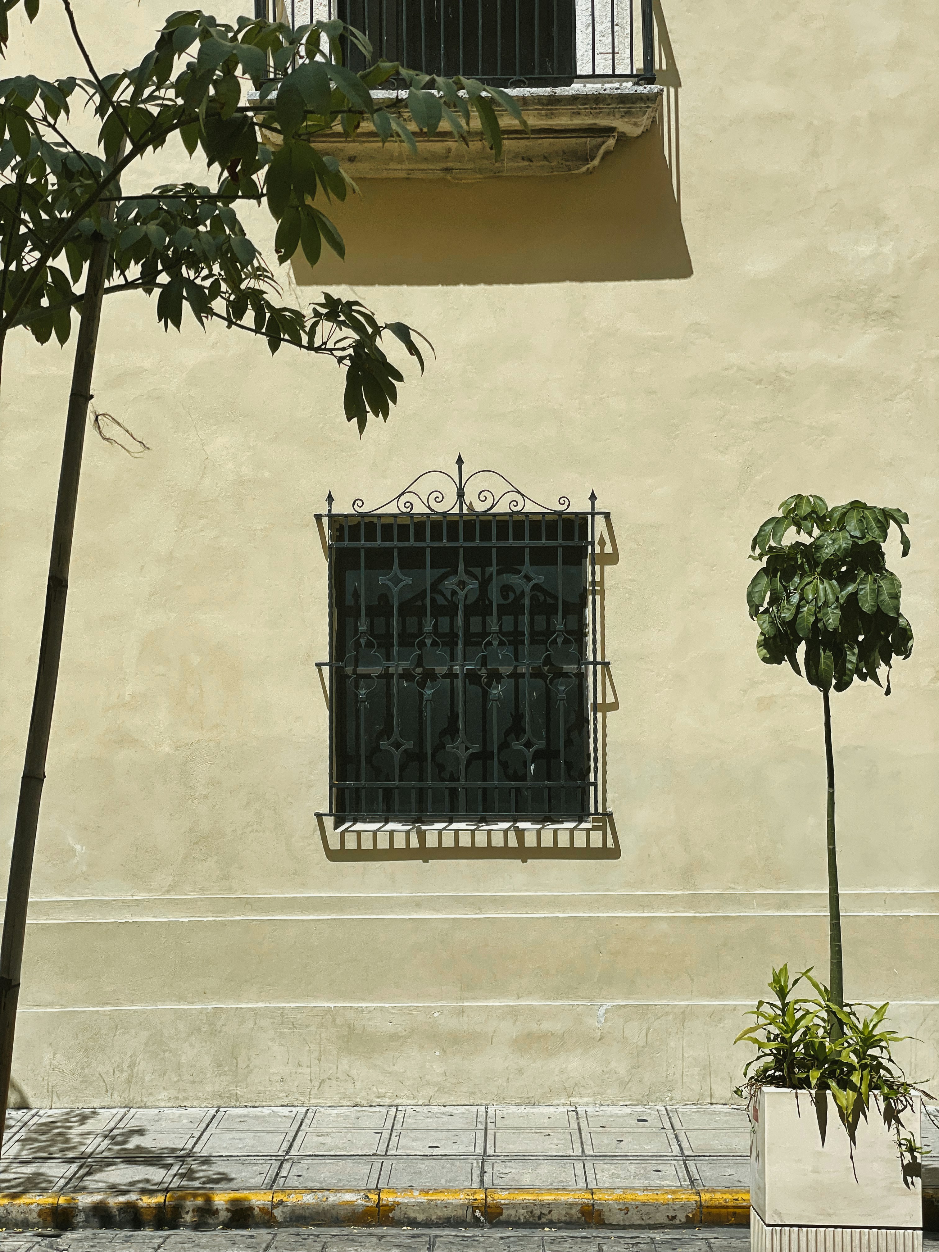 Mérida – Nightlife & Evening Culture