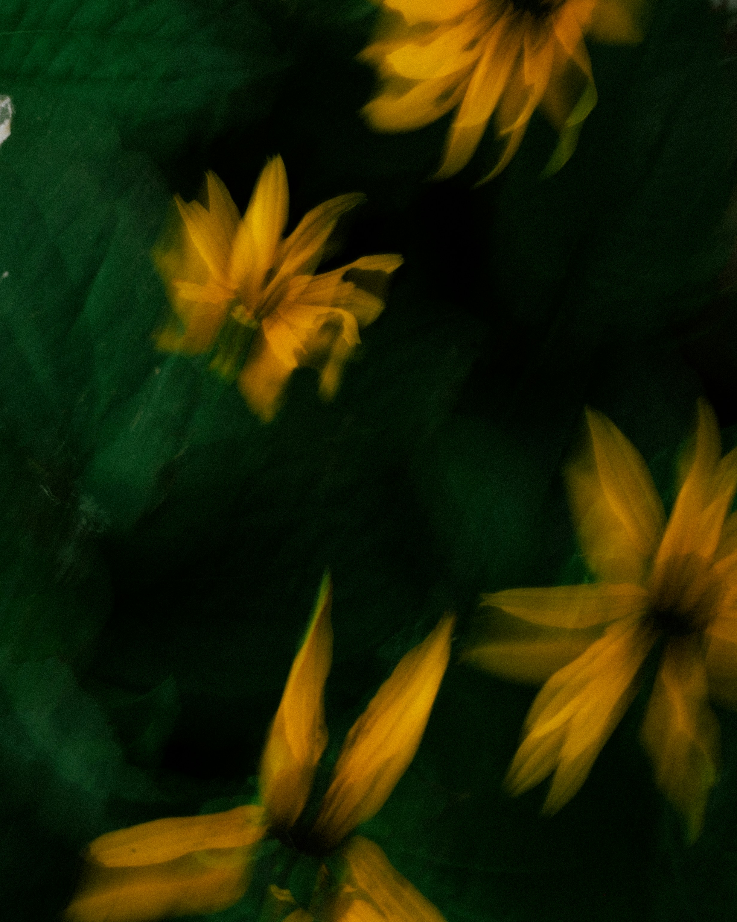 Photo by pavelmois
