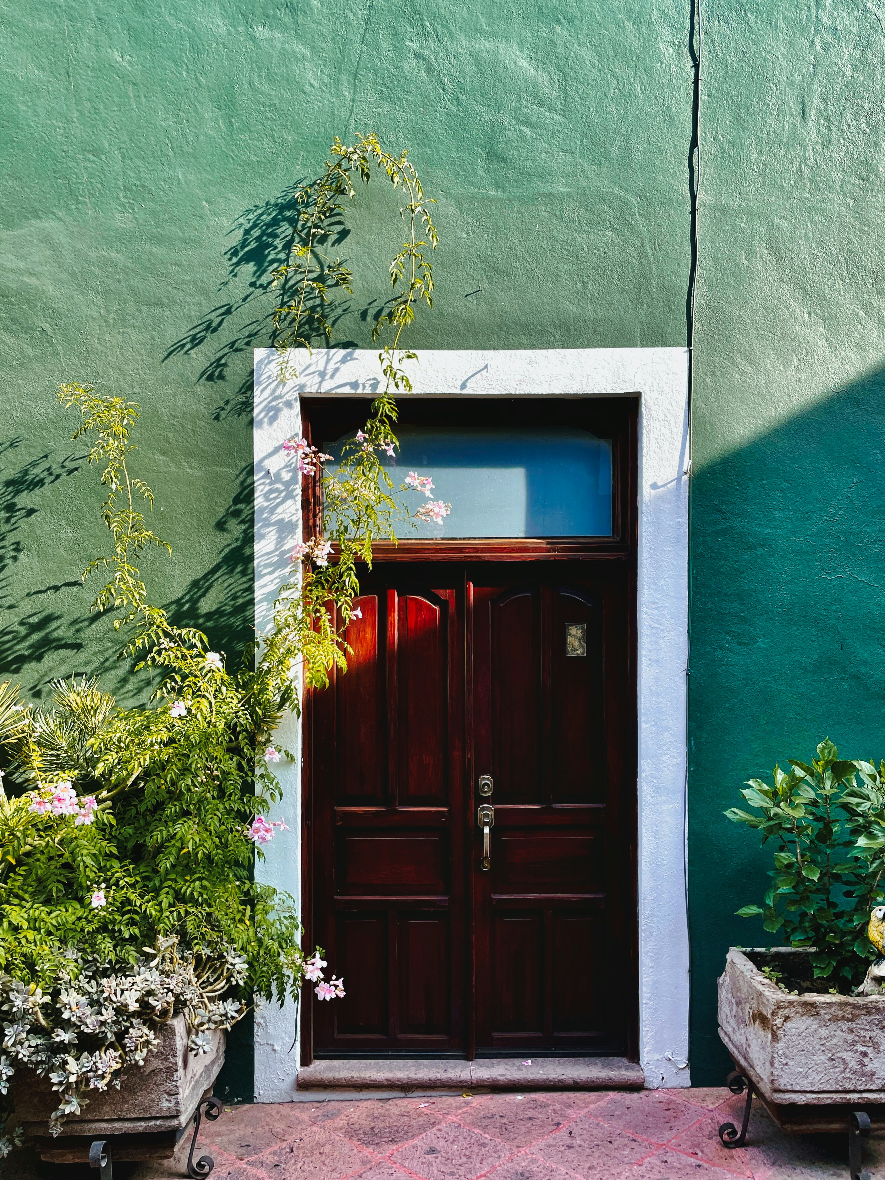 Photo by alyonayankovska