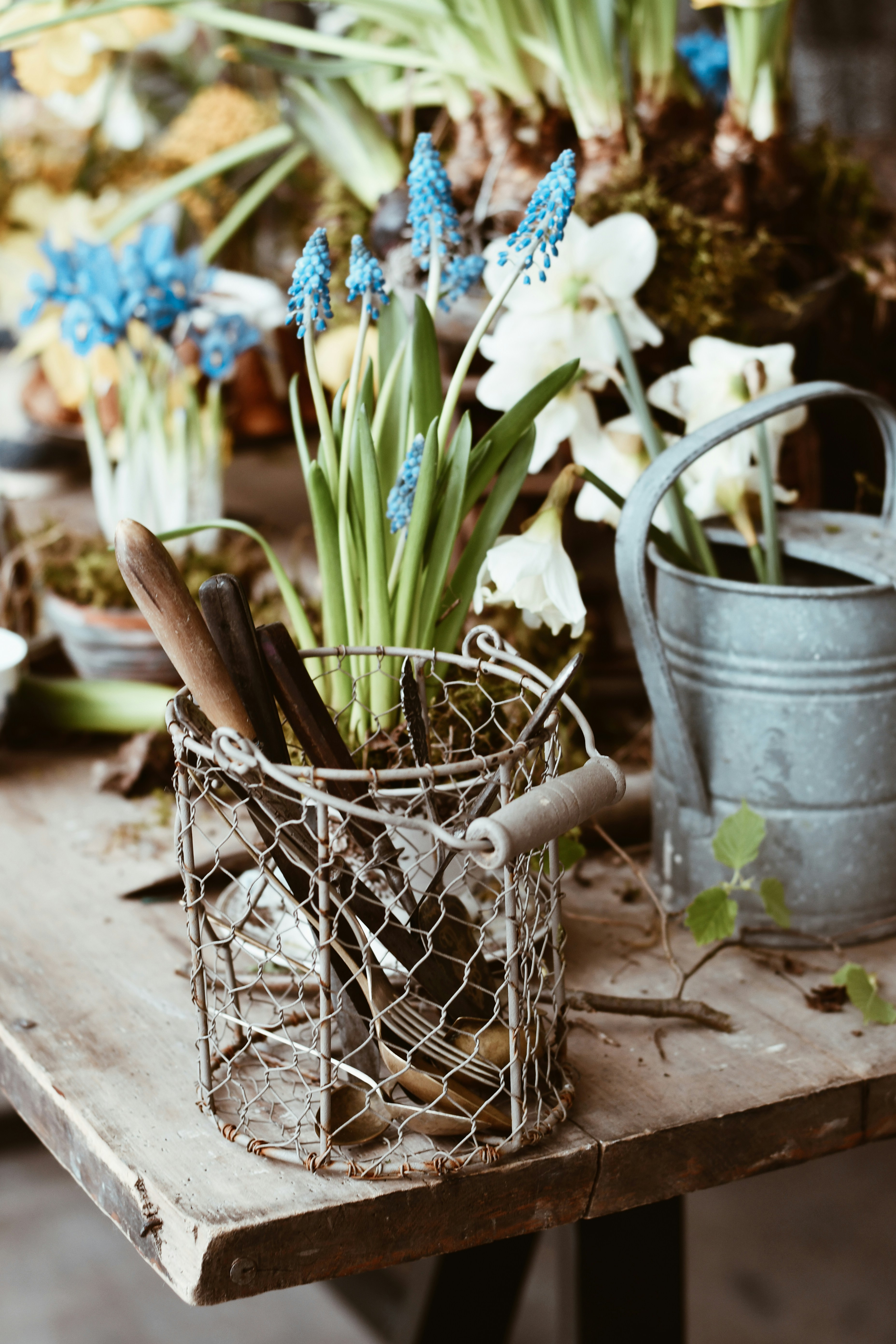 A bunch of flowers that are sitting on a table