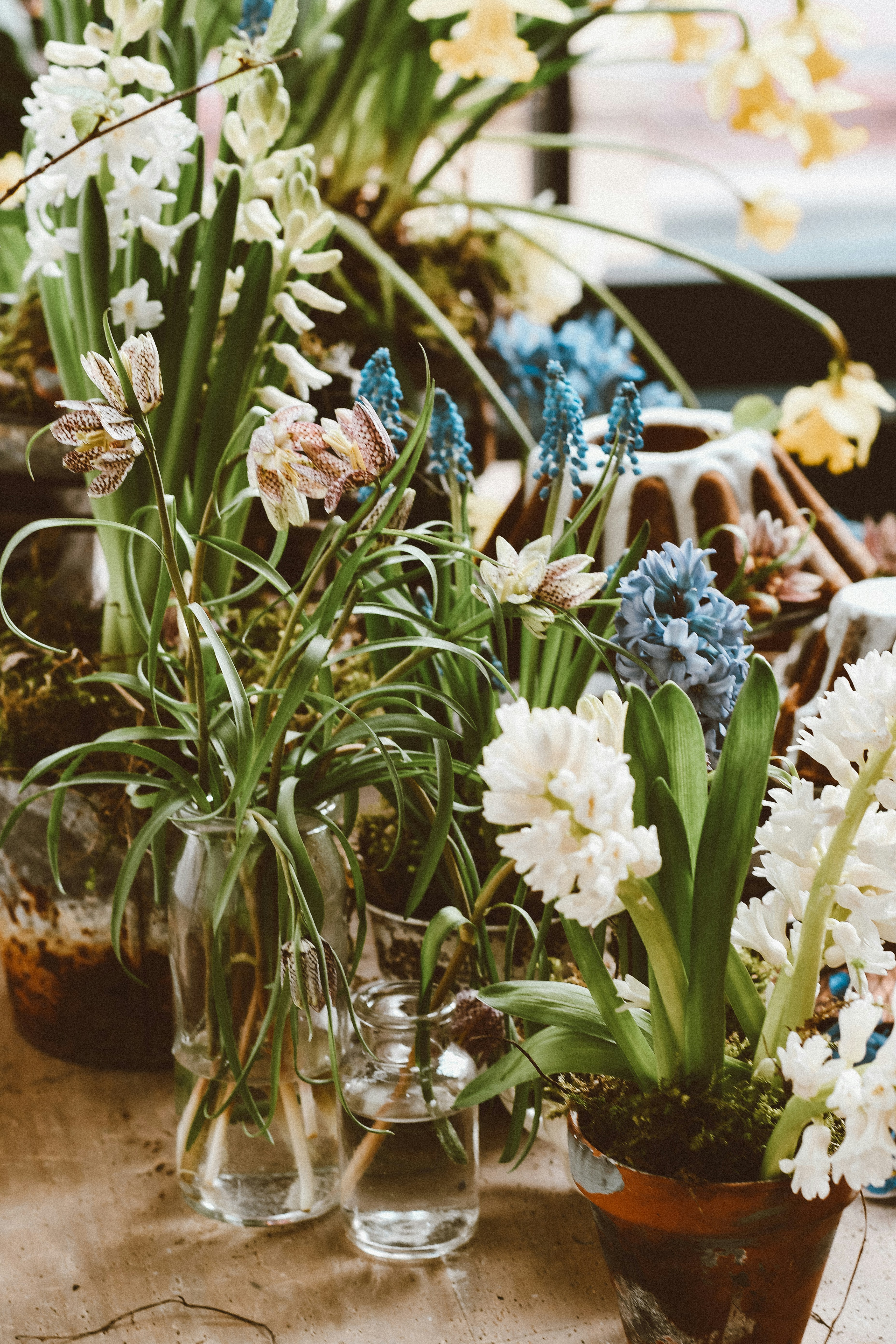 Photo by dinamakhmutova