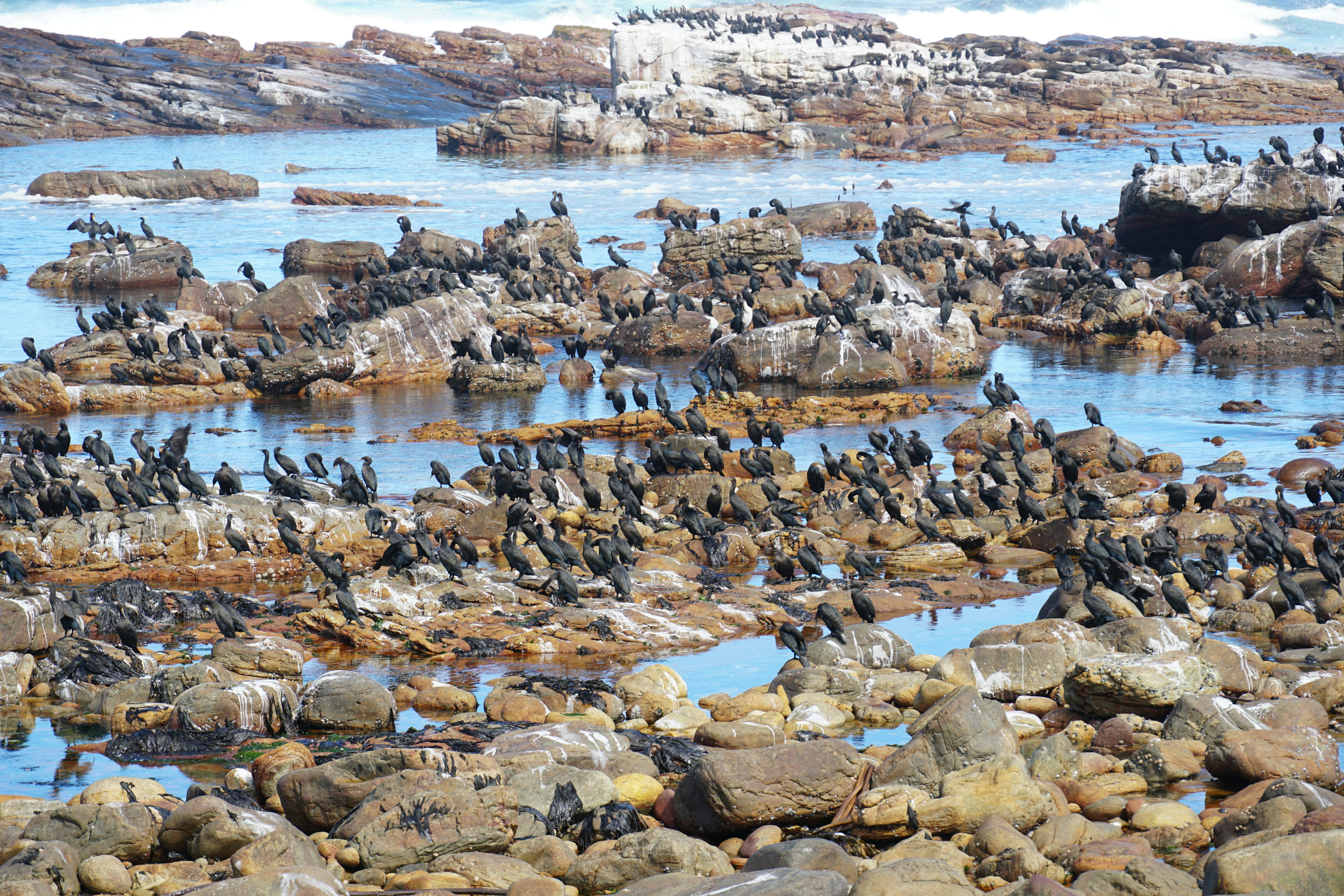 Photo by qld_traveller