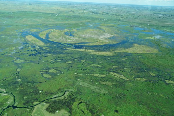 An aerial view of a river running through a lush green field — Okavango Delta, Botswana