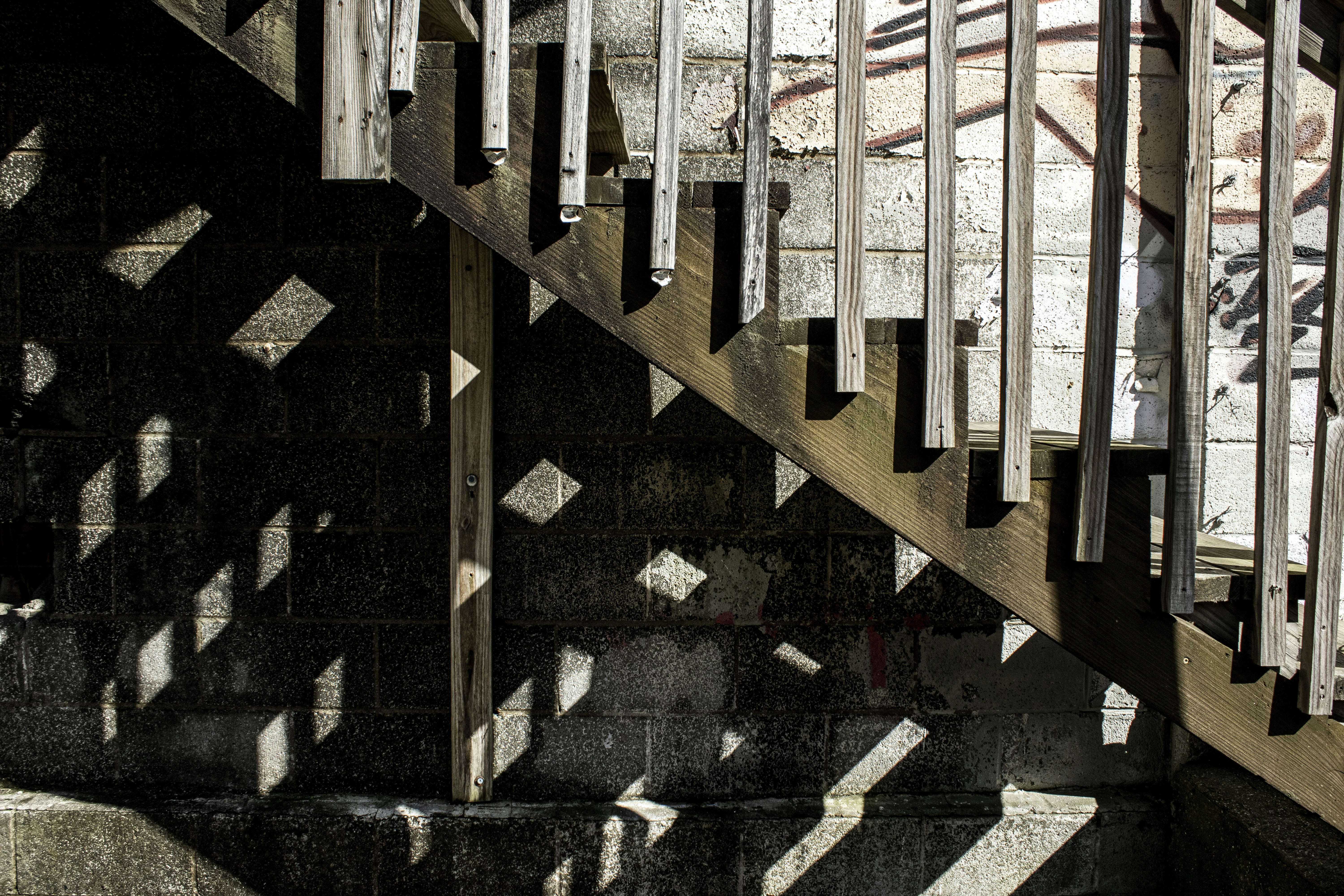 Photo by paigelaineelmer_photos